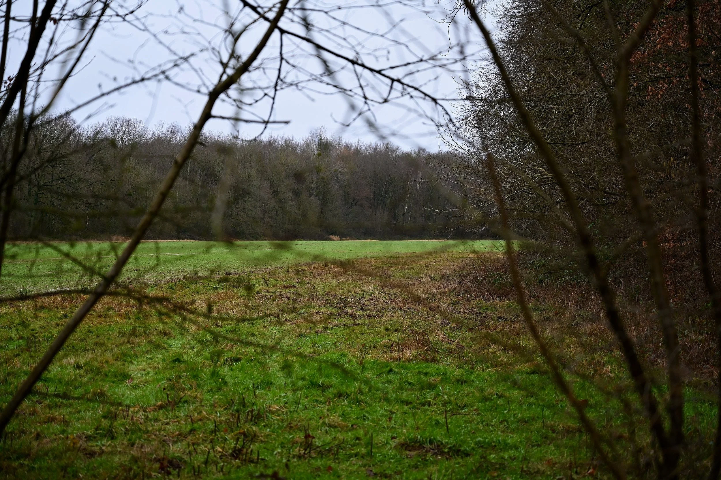 DSC_2839.jpg