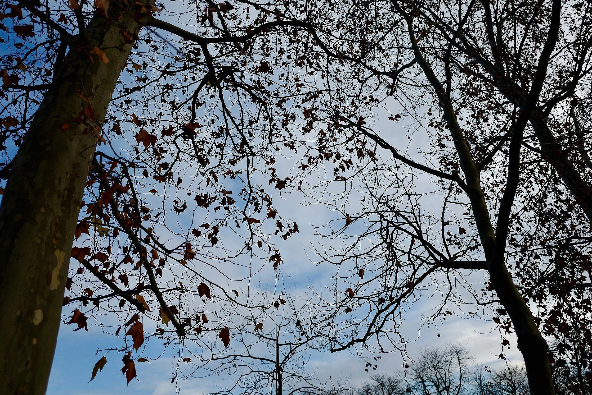 L1080581.jpg
