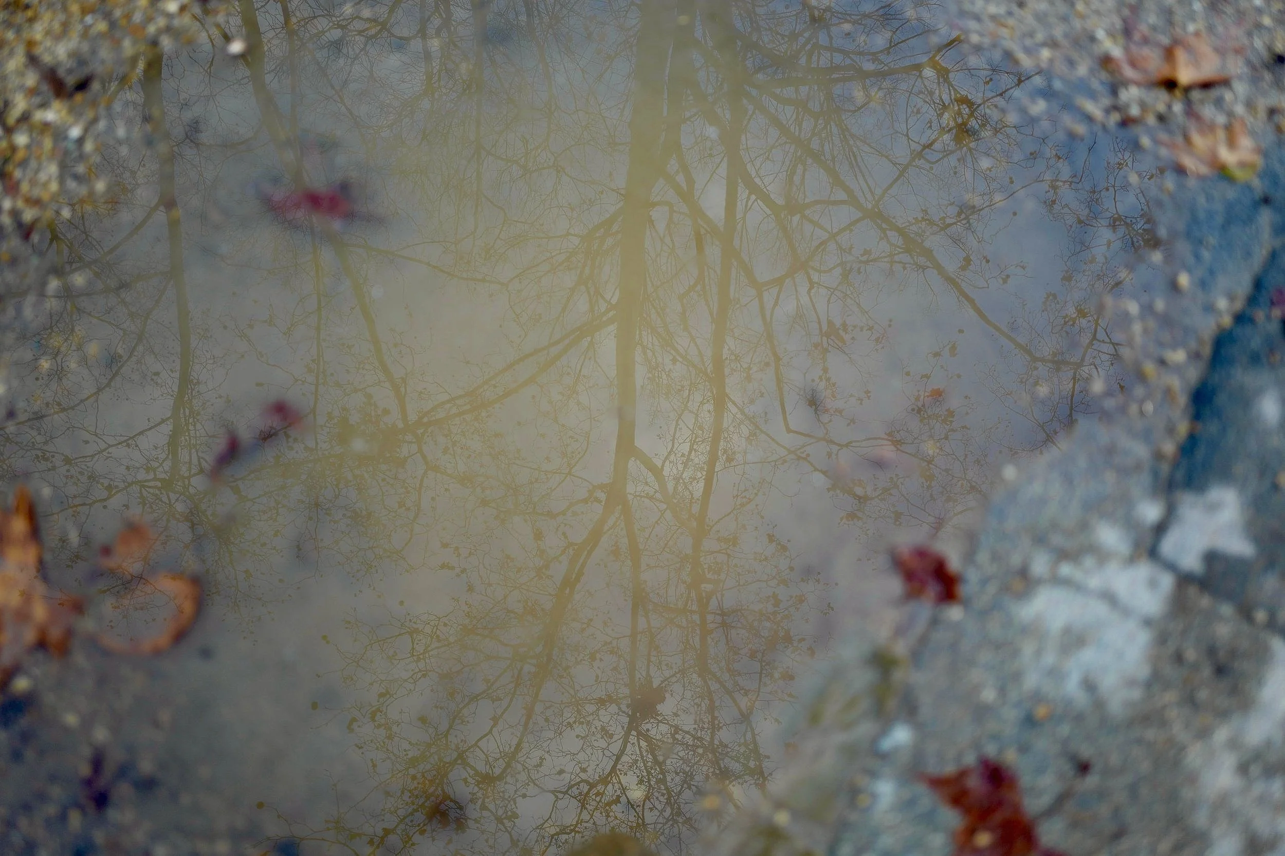 L1080589.jpg