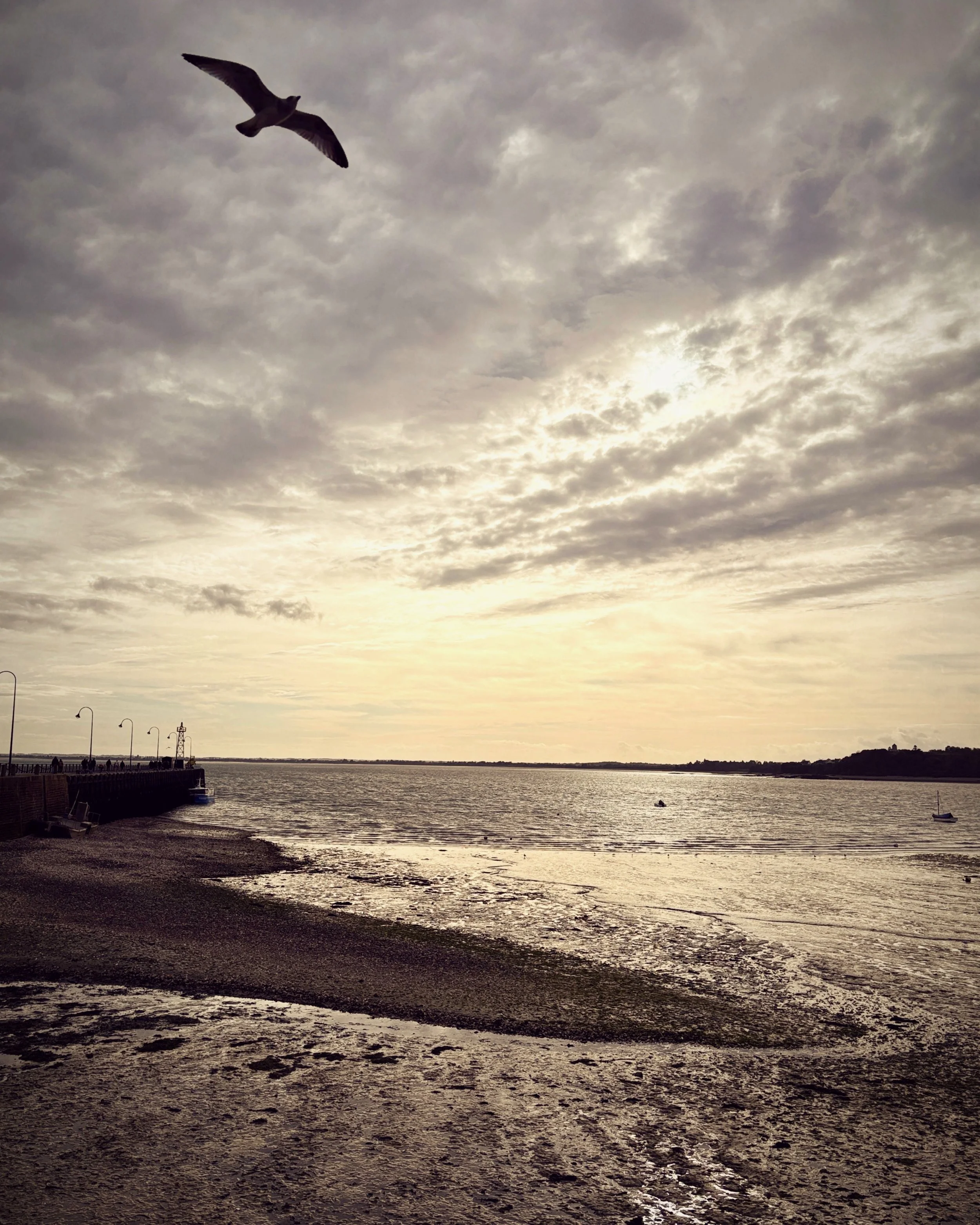 Envole-moi V - Brittany #78