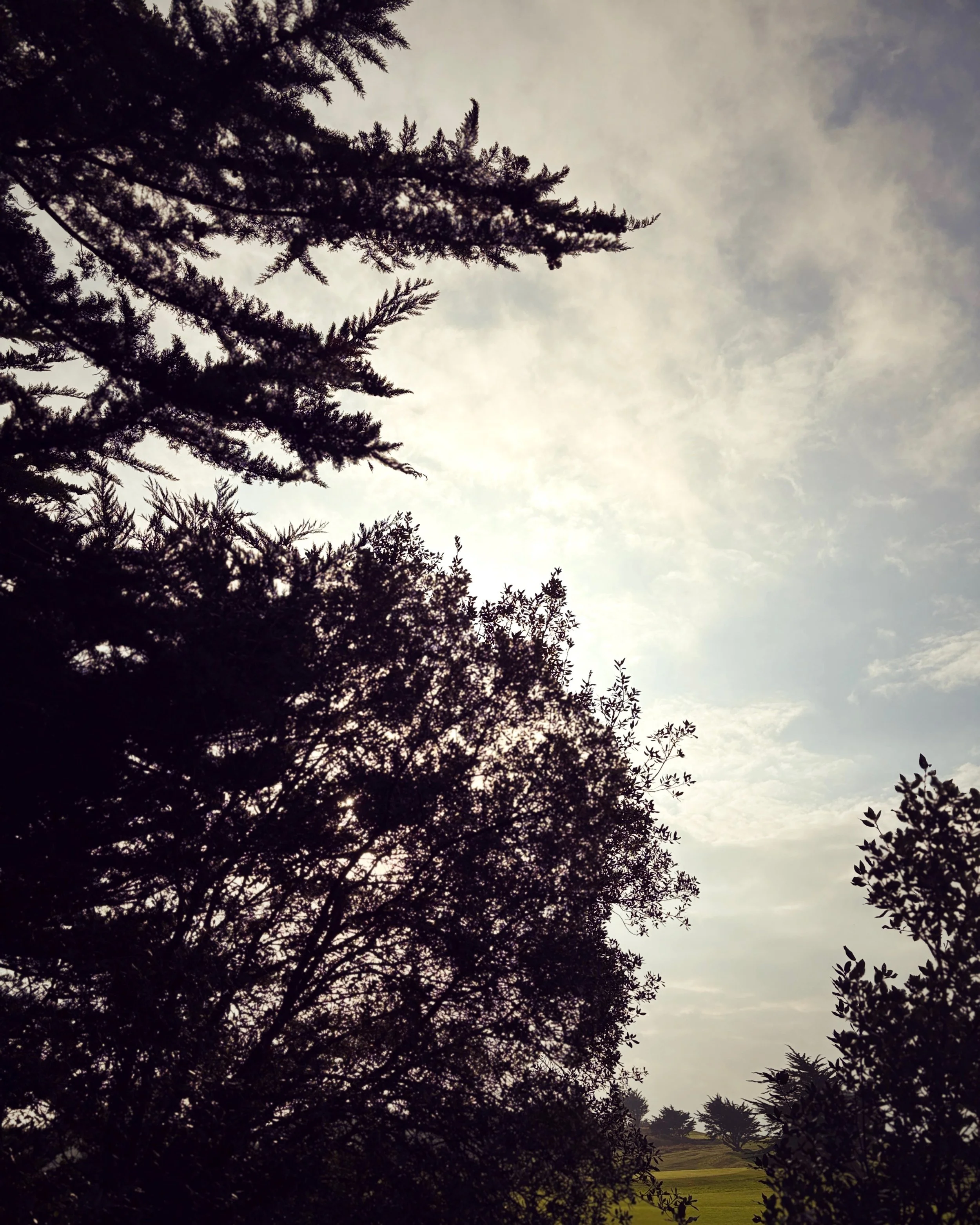 Feuillages - Brittany #82