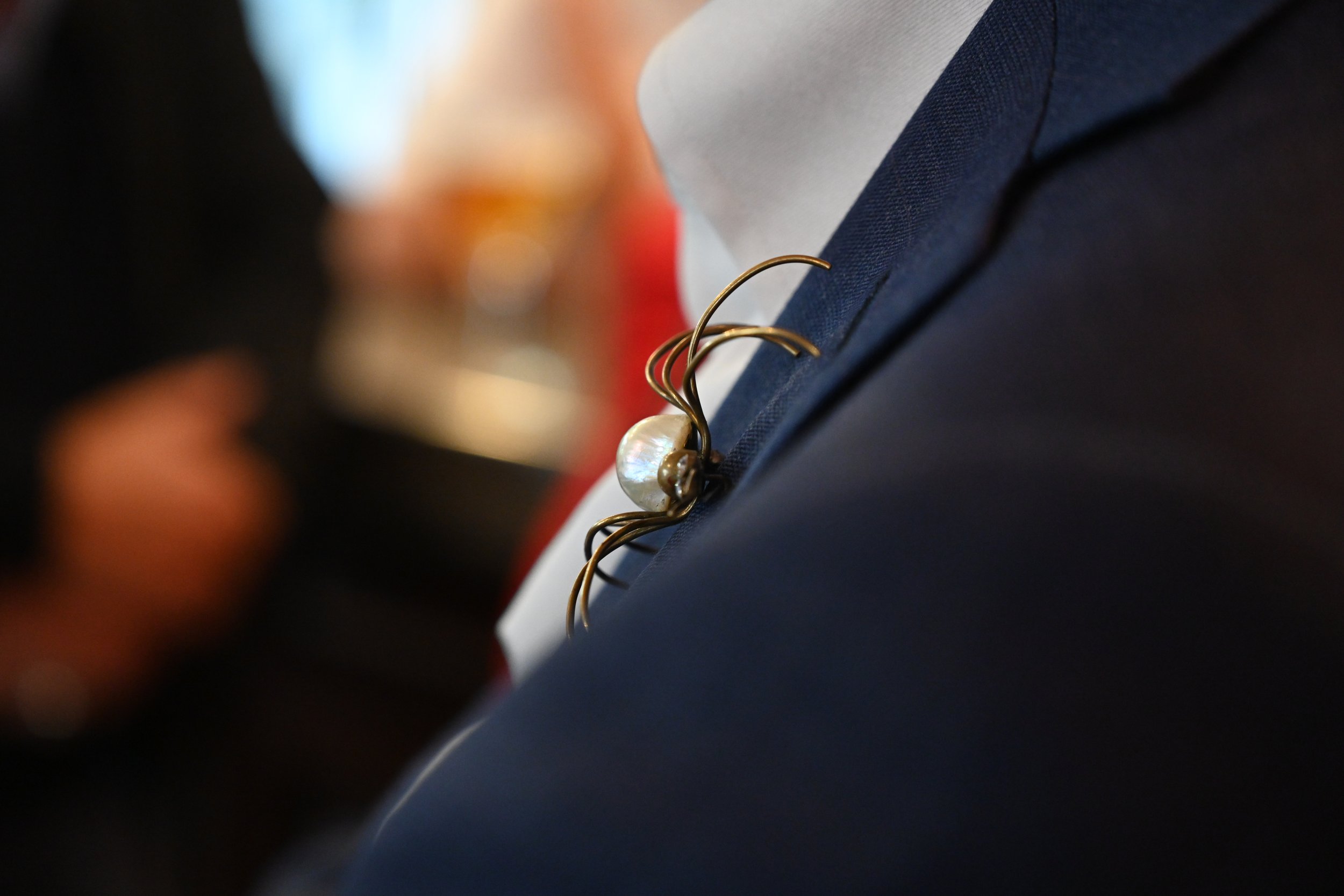 L'araignée...mystère de Cédric Villani !