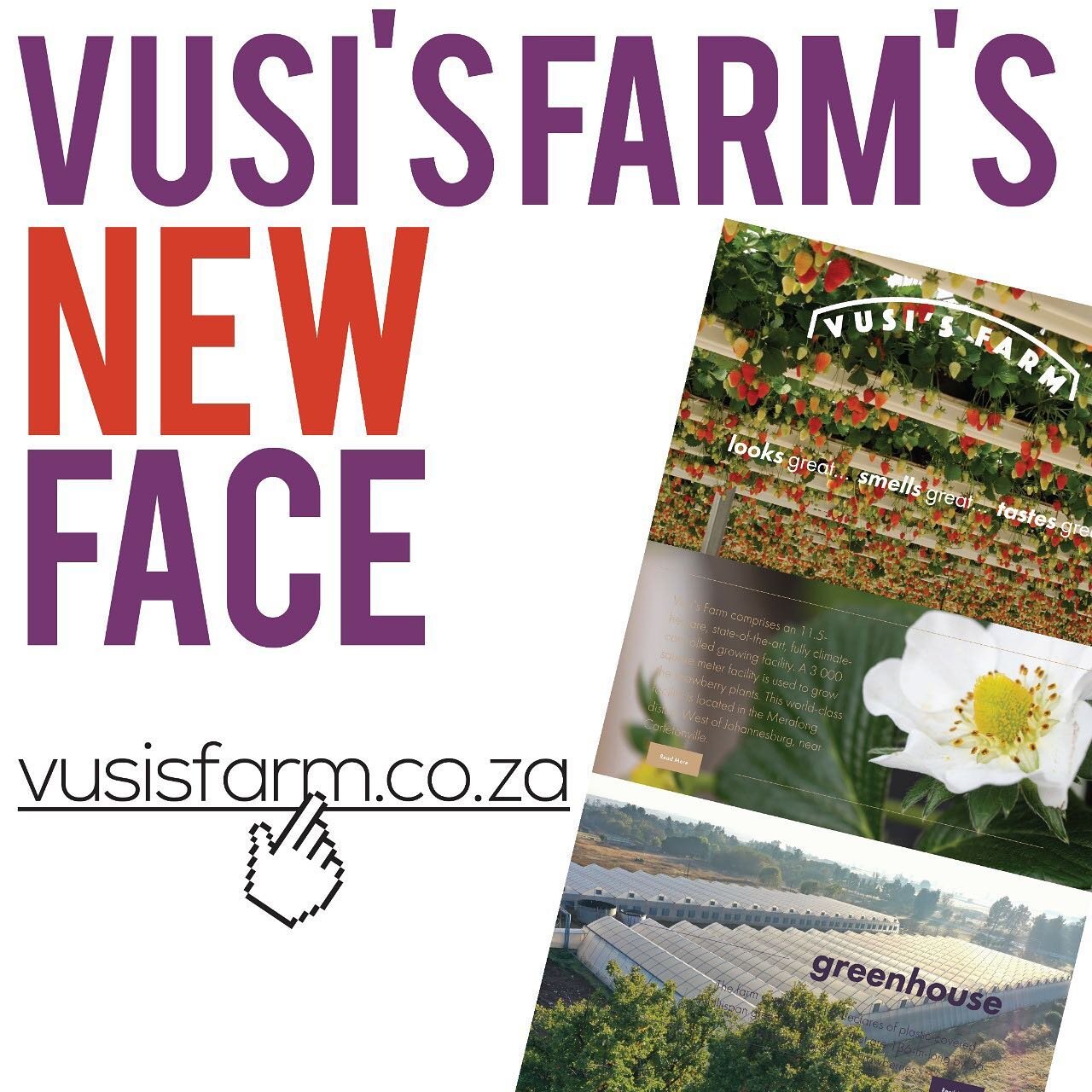 Our new #vusisfarm website is now live. Check out all the new functionalities, improved ease of use and latest product offerings. Click the link in bio