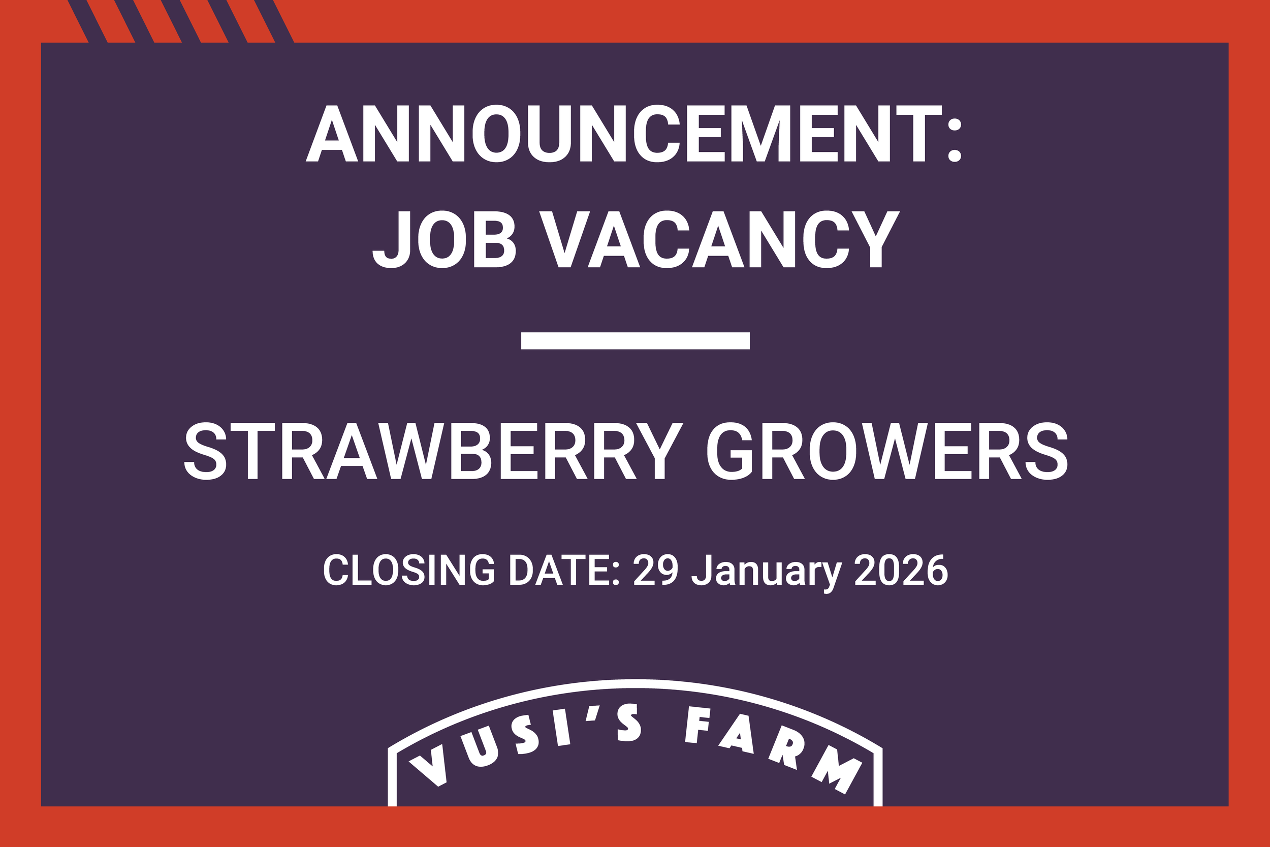 STRAWBERRY GROWERS X4