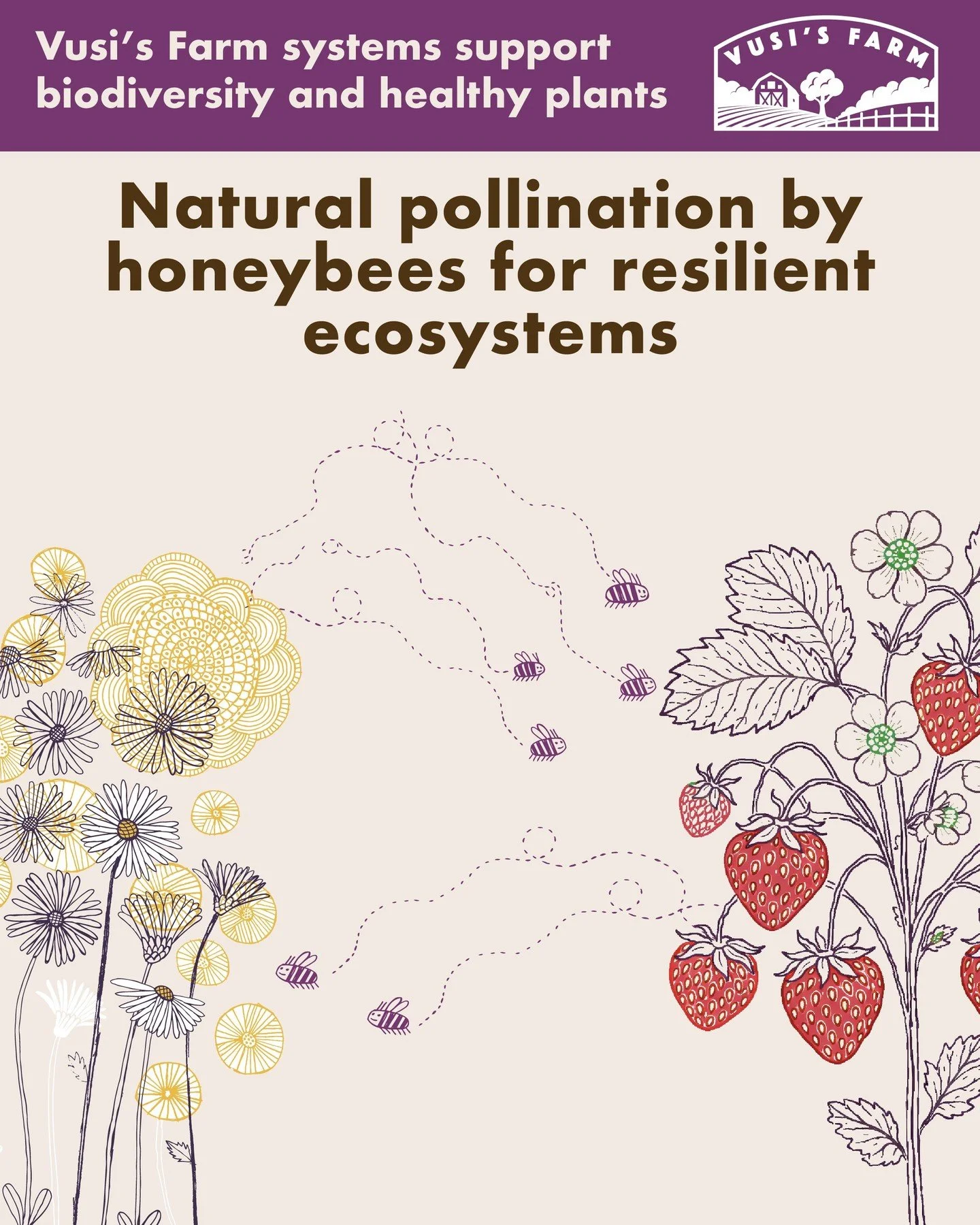 Vusi&rsquo;s Farm is a conducive space for healthy crop yields and ecological balance. #vusisfarm #strawberries 🍓🍓