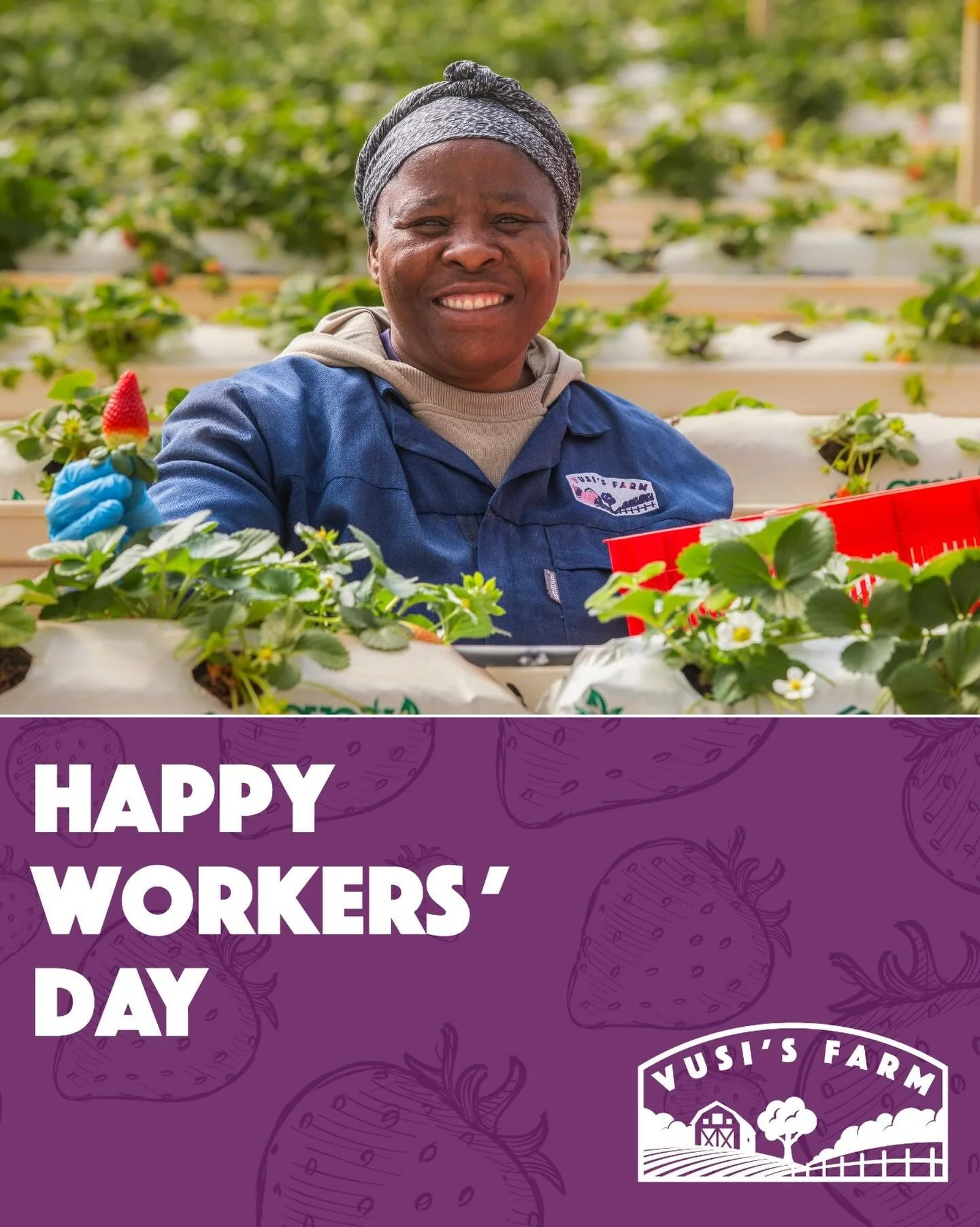 Celebrating all the talented, dedicated, and hardworking individuals behind every harvest. Happy Workers&rsquo; Day to everyone who contributes to our nation&rsquo;s prosperity. #WorkersDay #WorkersDay2026 #VusisFarm
