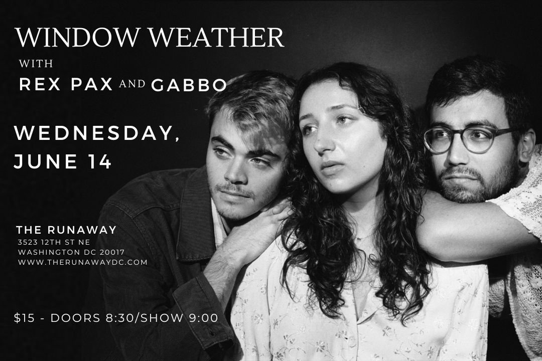 Window Weather // Rex Pax // Gabbo