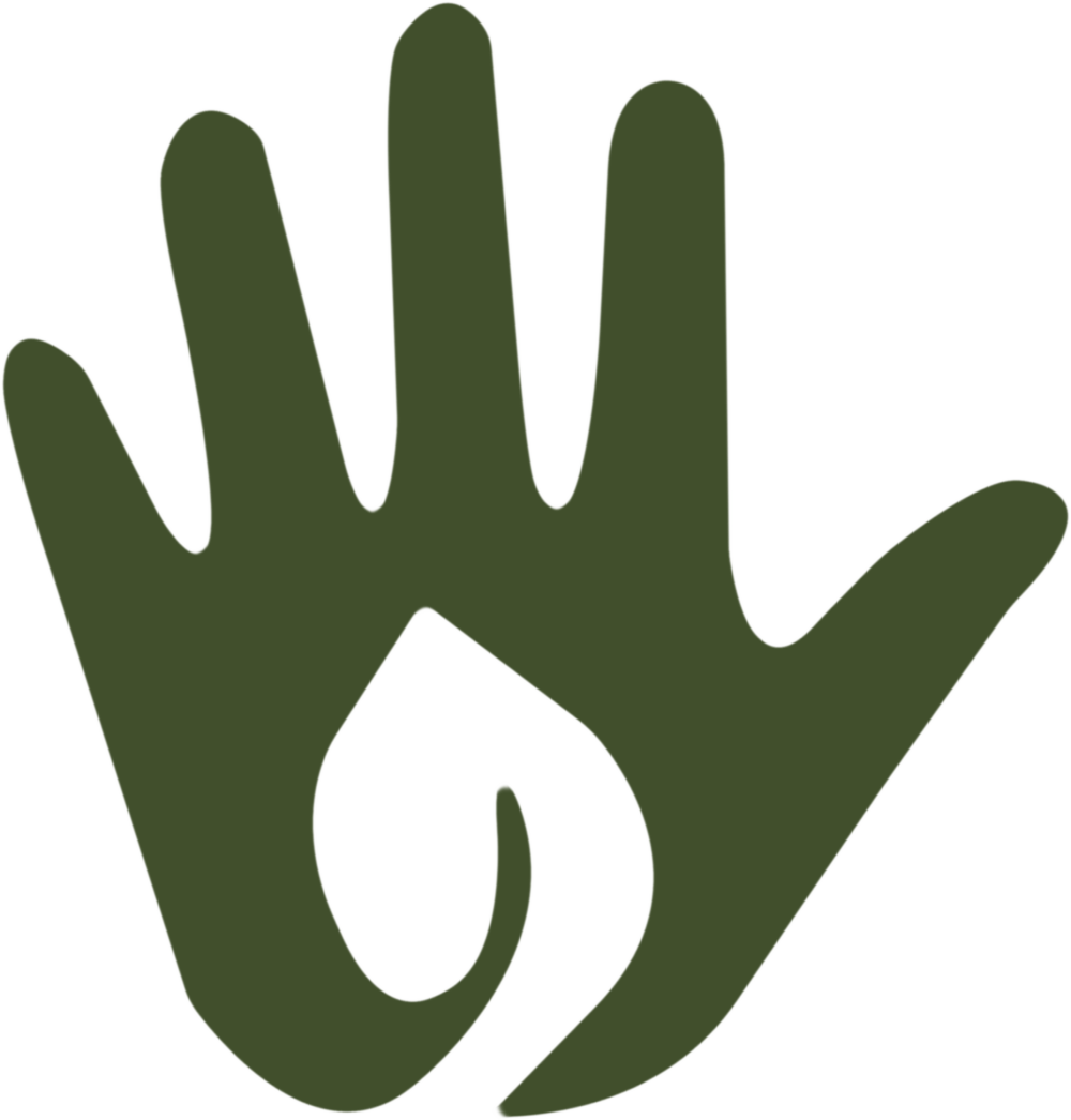 Tree Removal Services