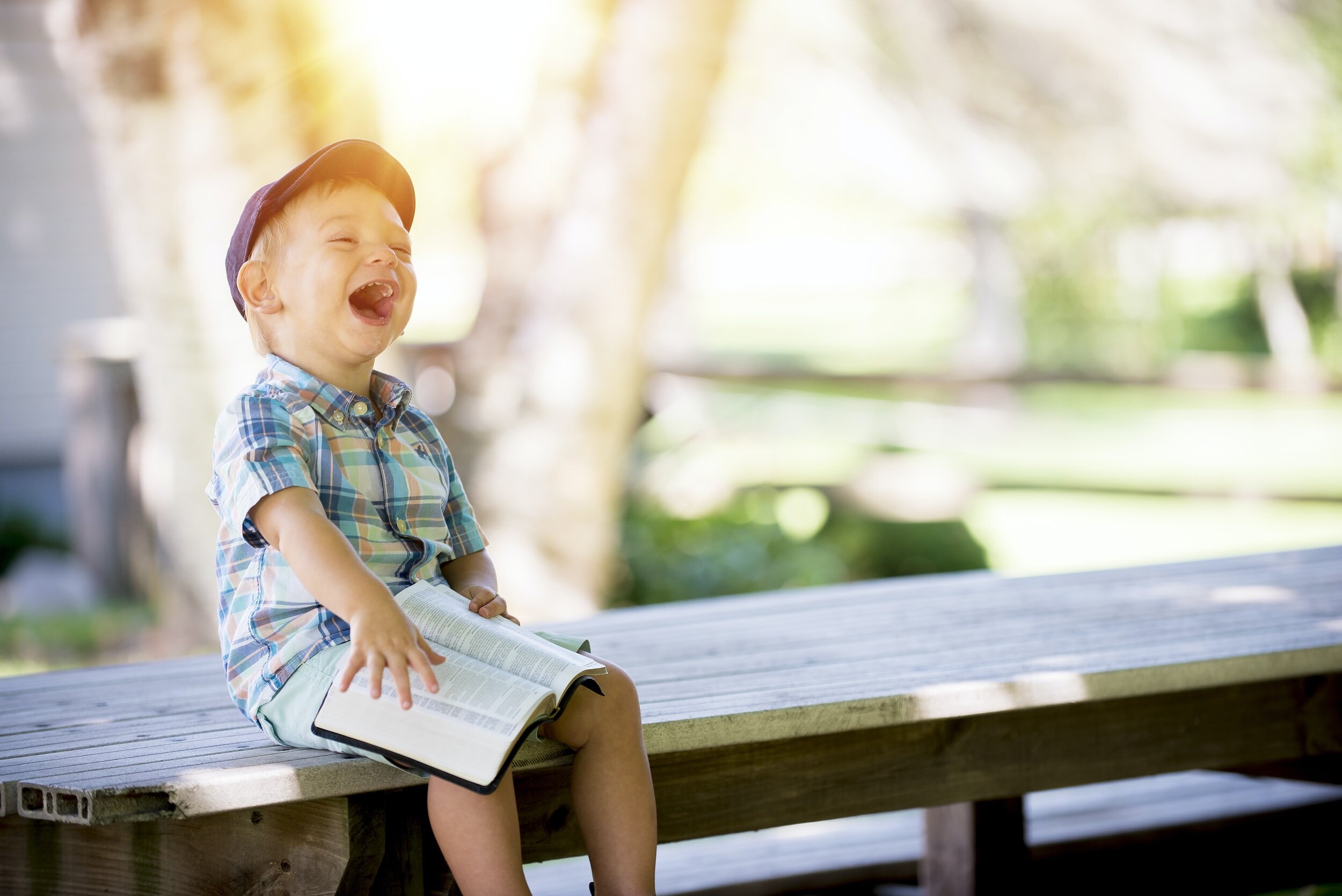 The Delicate Dance of Tree Removal: A Step-by-Step Guide by Family Tree Care