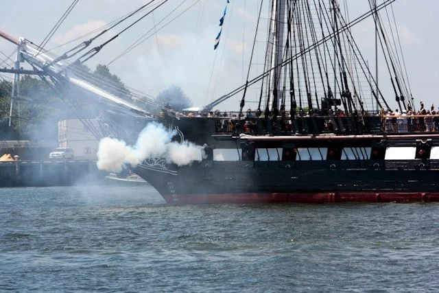 The Majestic White Oak: A Tree of History and Significance