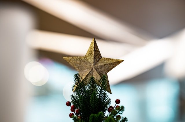 Tree Symbols in Christmas: The Deeper Meaning