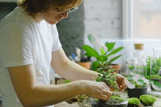 When Is the Best Time of Year to Prune?