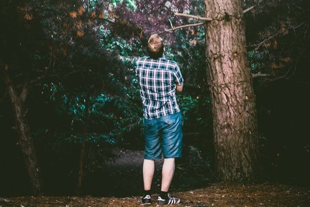 5 Simple Ways to Check the Health of Your Trees