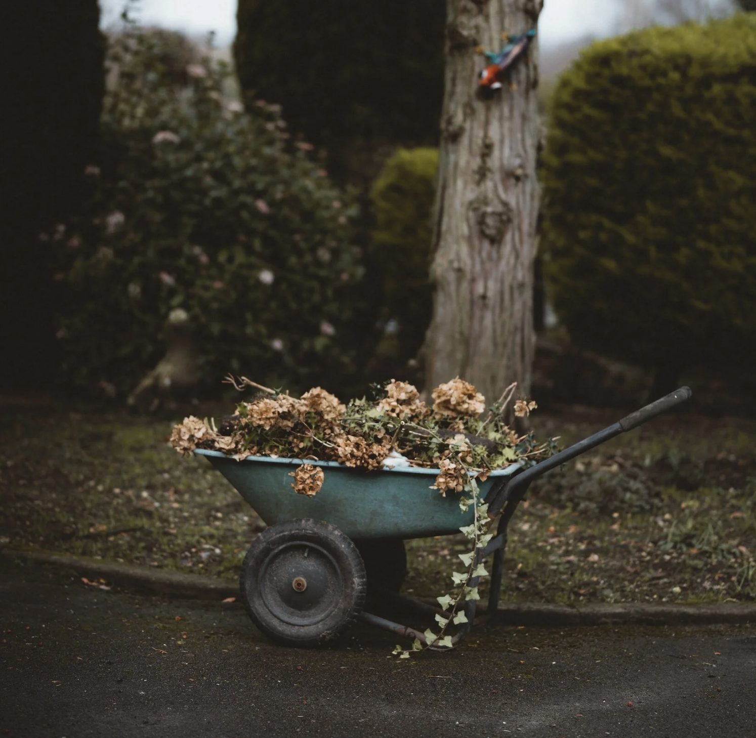 Always avoid over pruning.