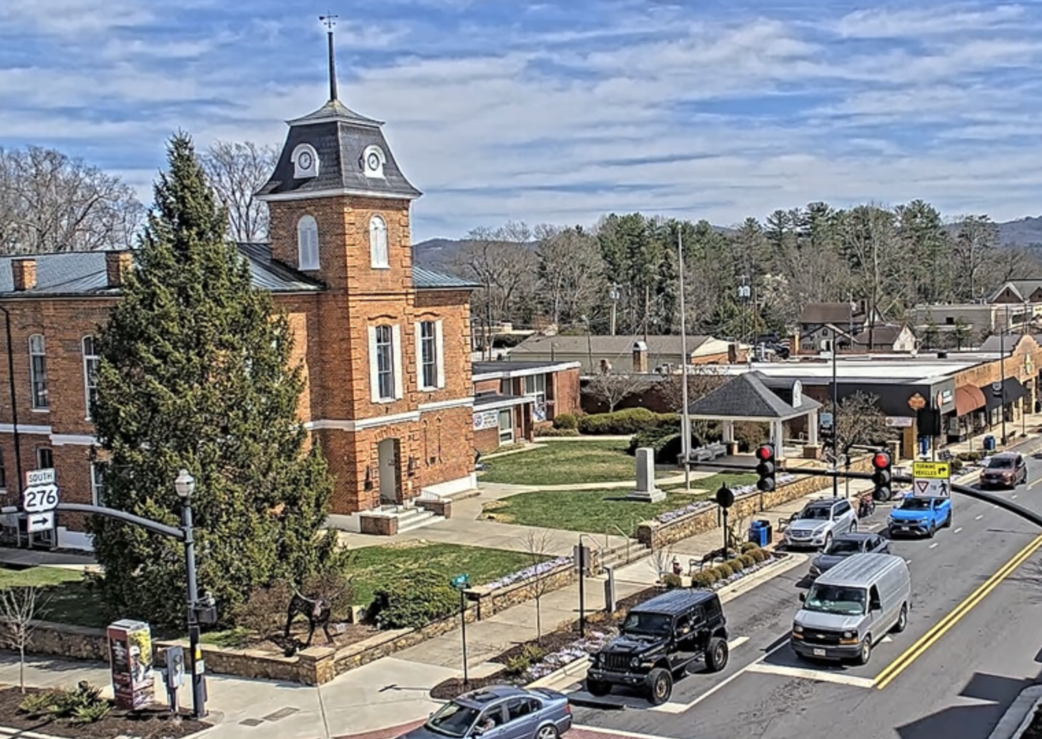 Caring for Brevard’s Trees: Honoring a Community Rooted in Forest and Water