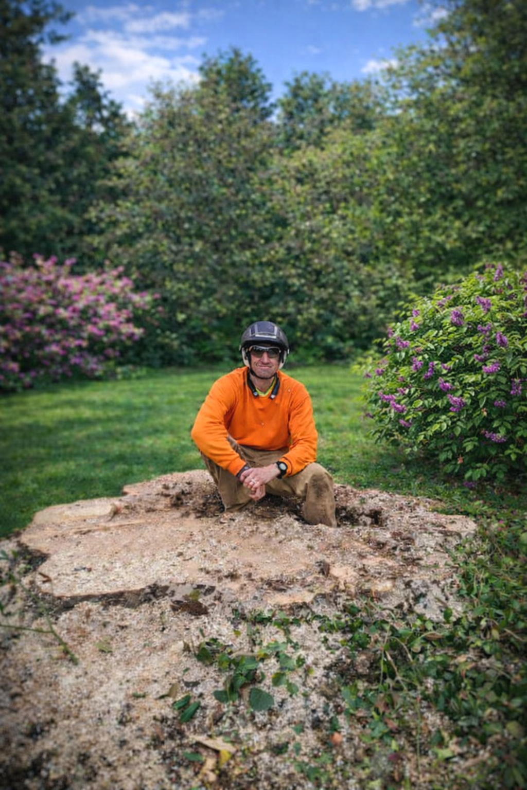 A man in an orange jacket, kneeling on a large tree stump in a garden with pink and purple flowering bushes and green trees in the background.