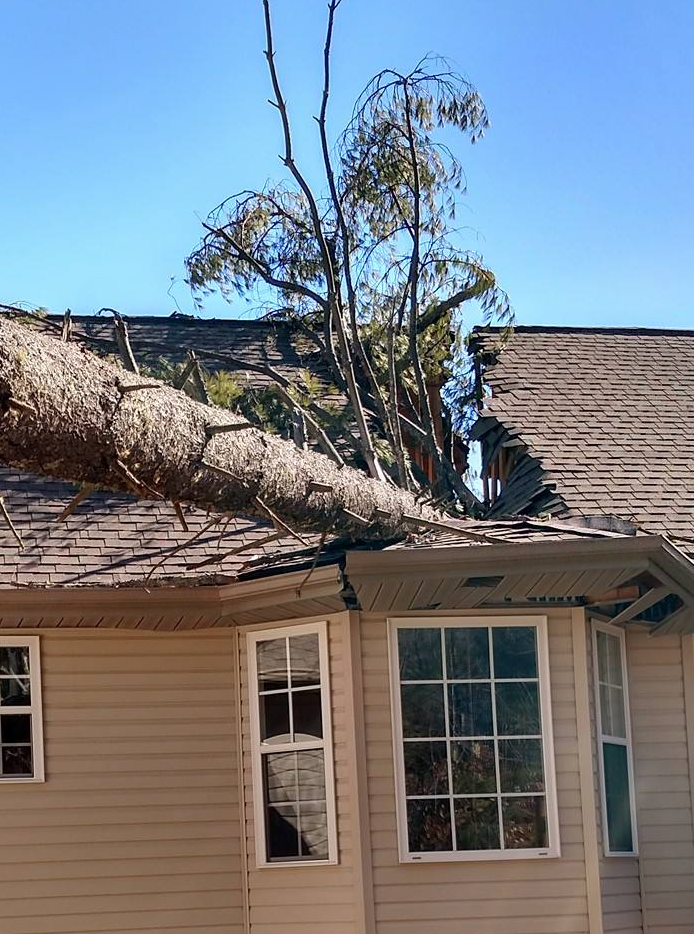 A large tree has fallen onto the roof of a house, causing damage to the roof and a nearby window.