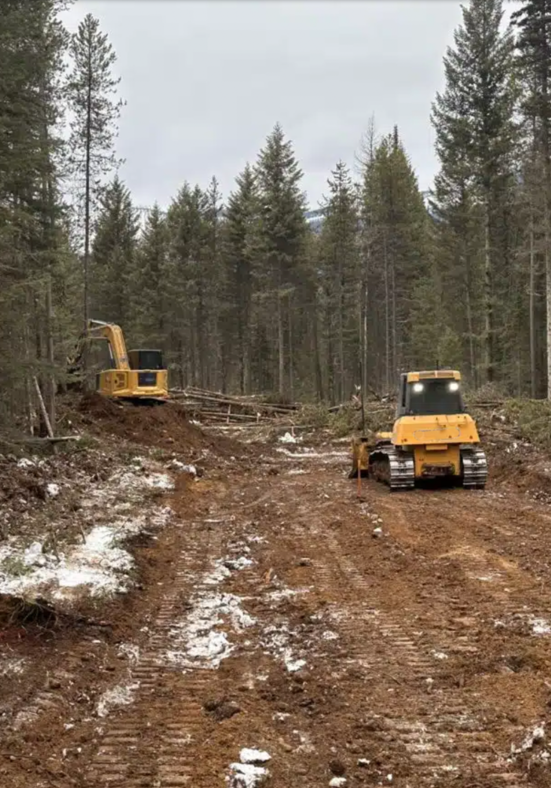 Construction site in a forest with yellow bulldozers on a dirt path, and snow patches on the ground.