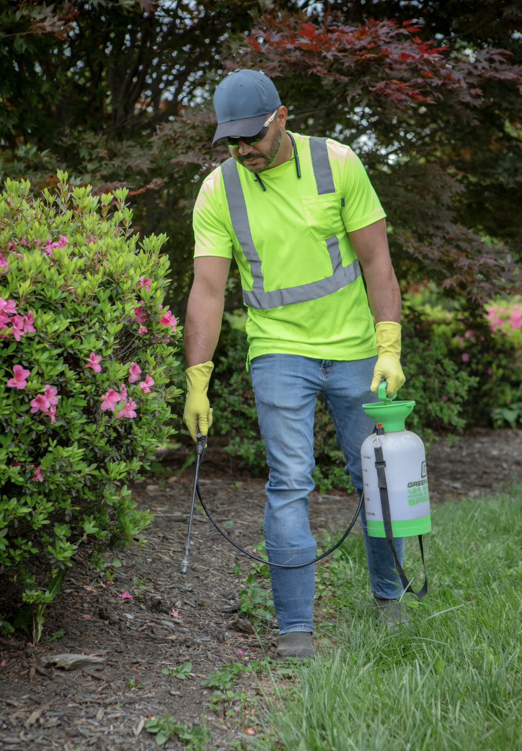 A man wearing a yellow high-visibility shirt, blue jeans, sunglasses, yellow gloves, and a blue cap is spraying pesticides in a landscaped garden with pink flowering bushes and green trees.