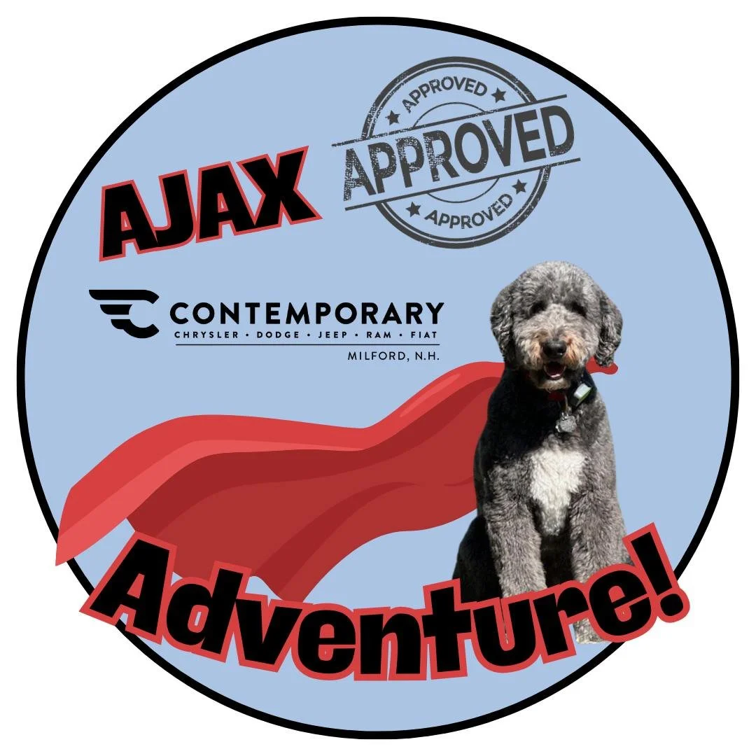 AJAX Approved.jpg