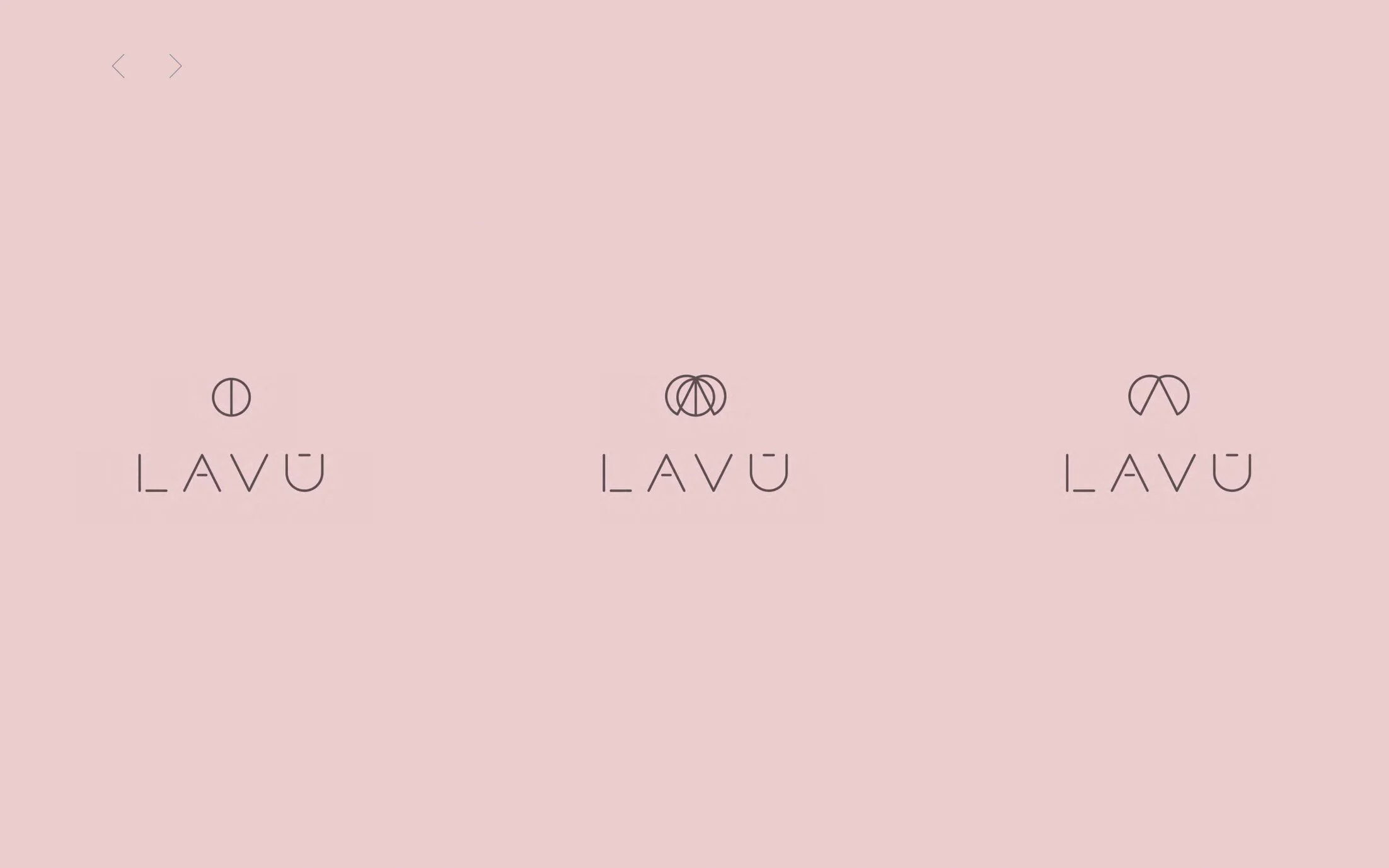 lavu2.jpg