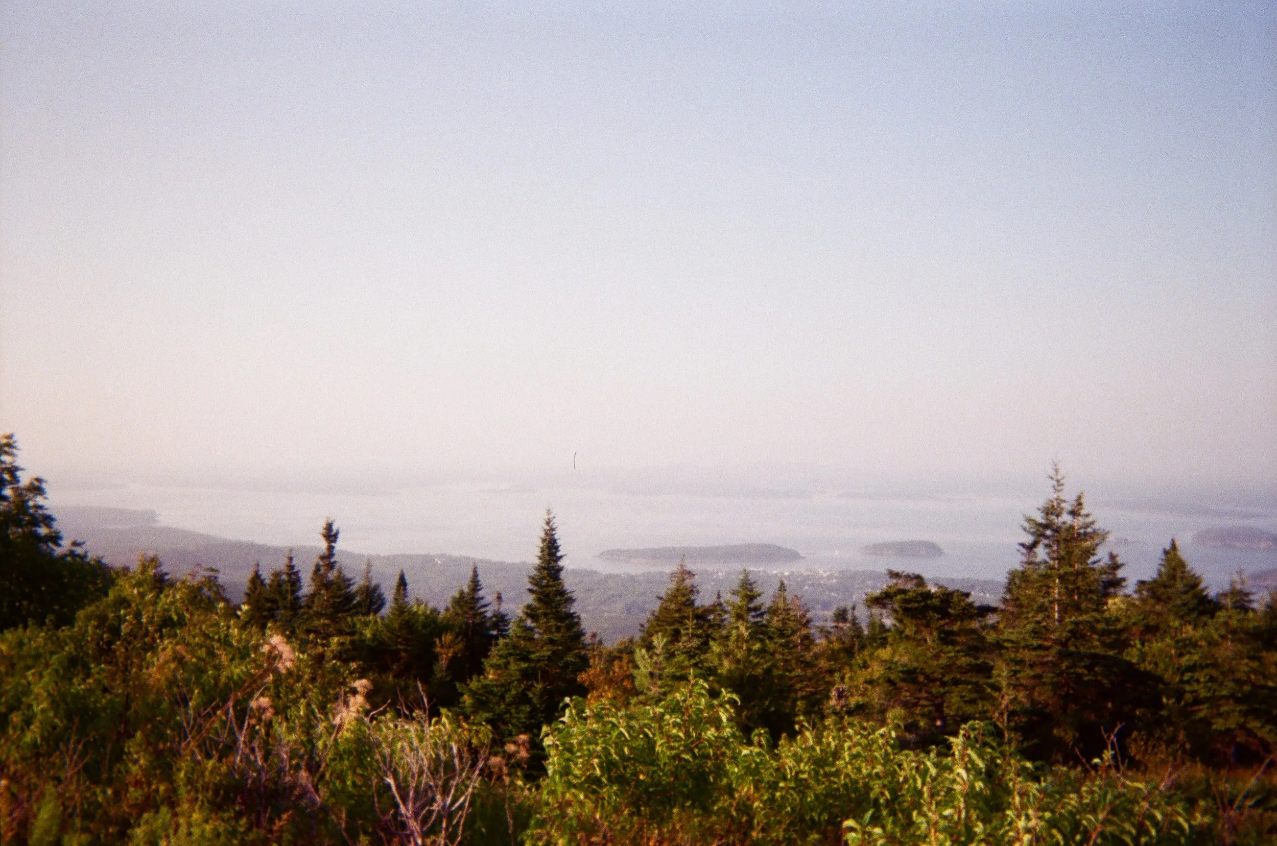 Finally got my Maine film from last summer developed 🦞🫪