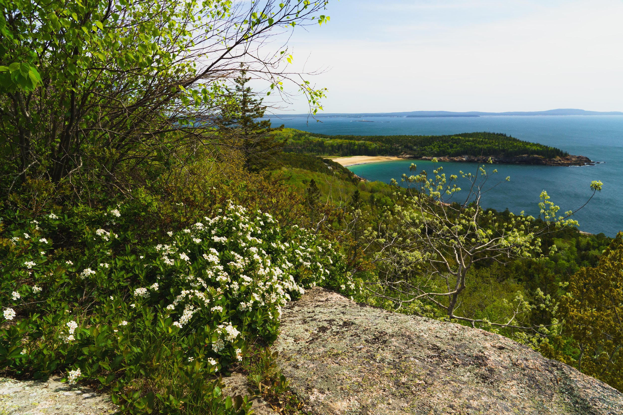 Gorham mtn trail vista Acadia.JPG