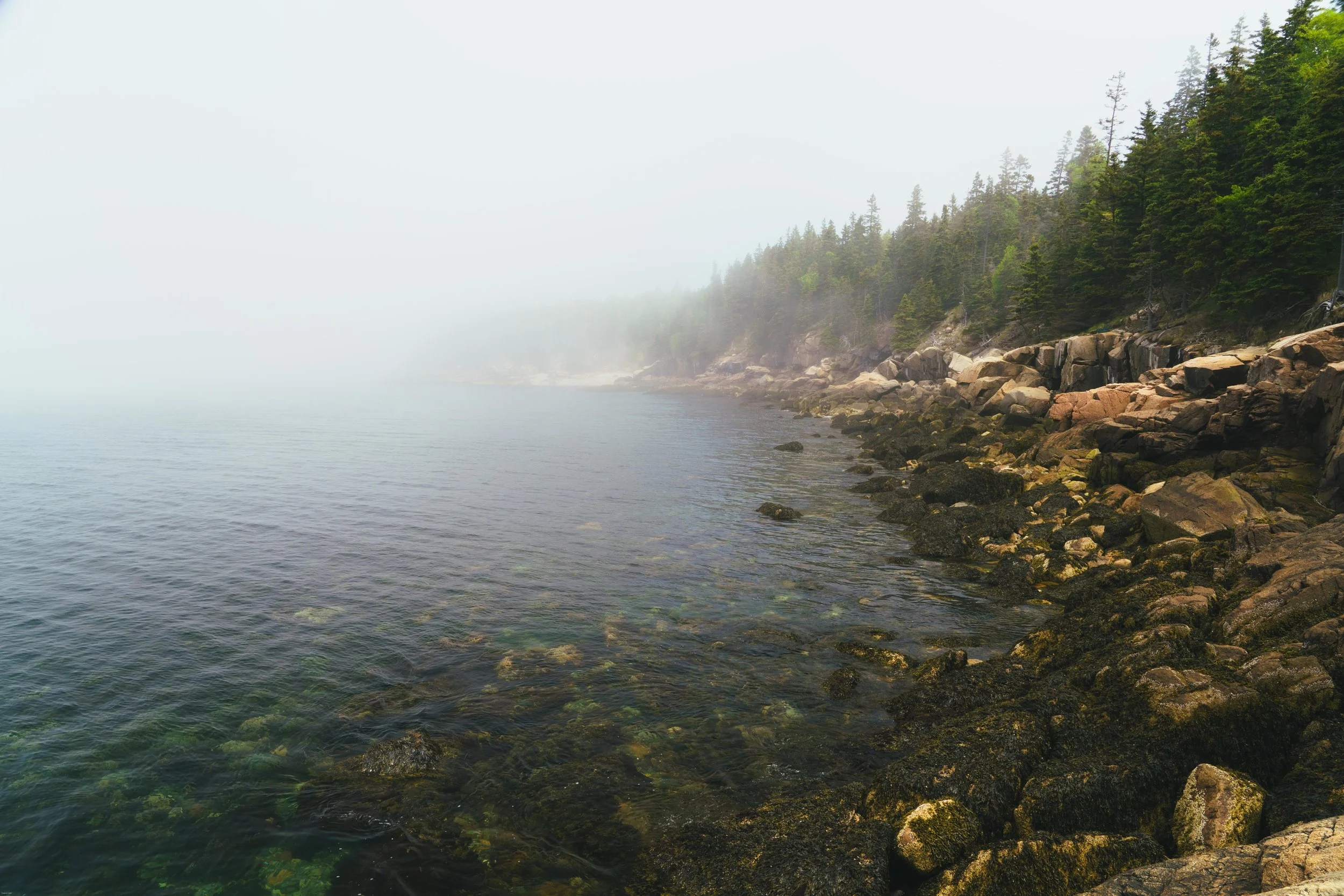 Acadia Foggy coastline.JPG