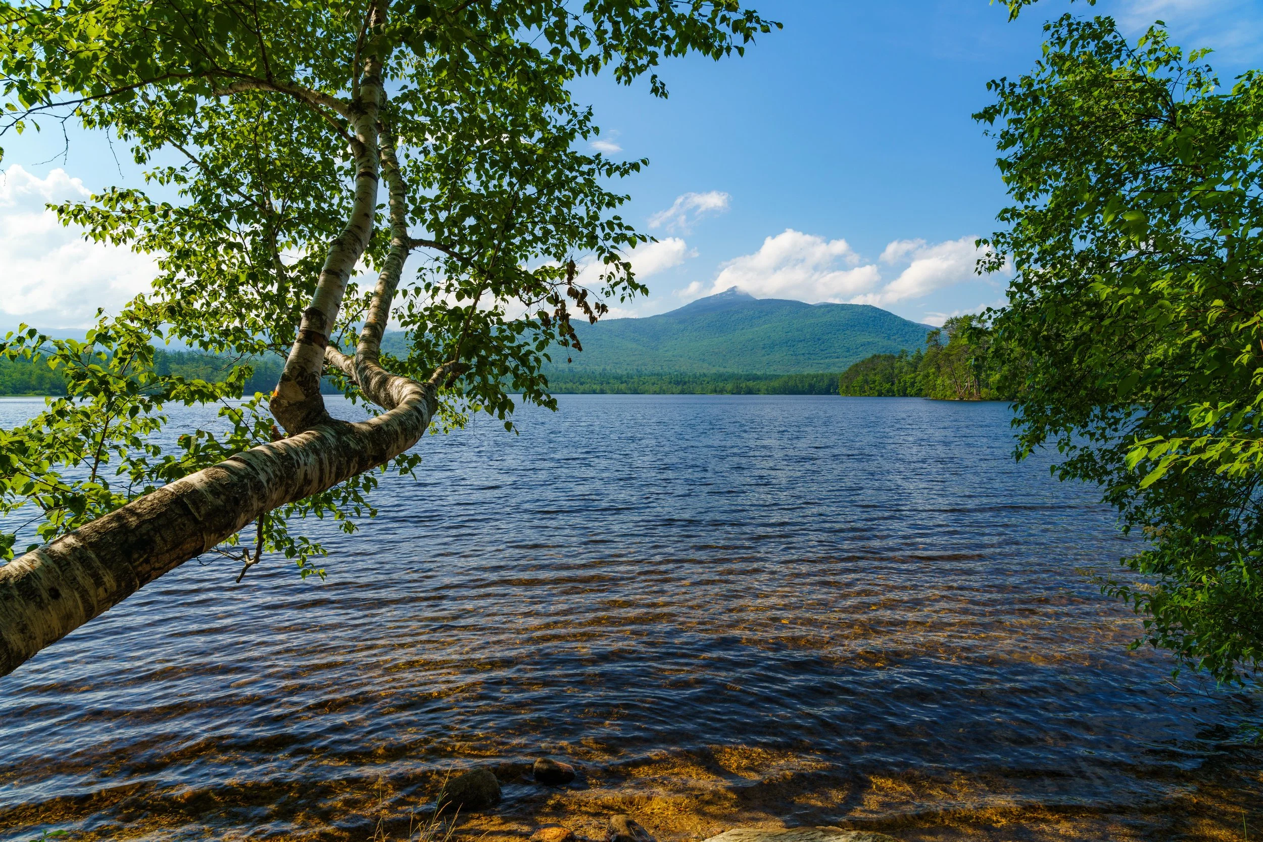 Lake chocorua frame.JPG