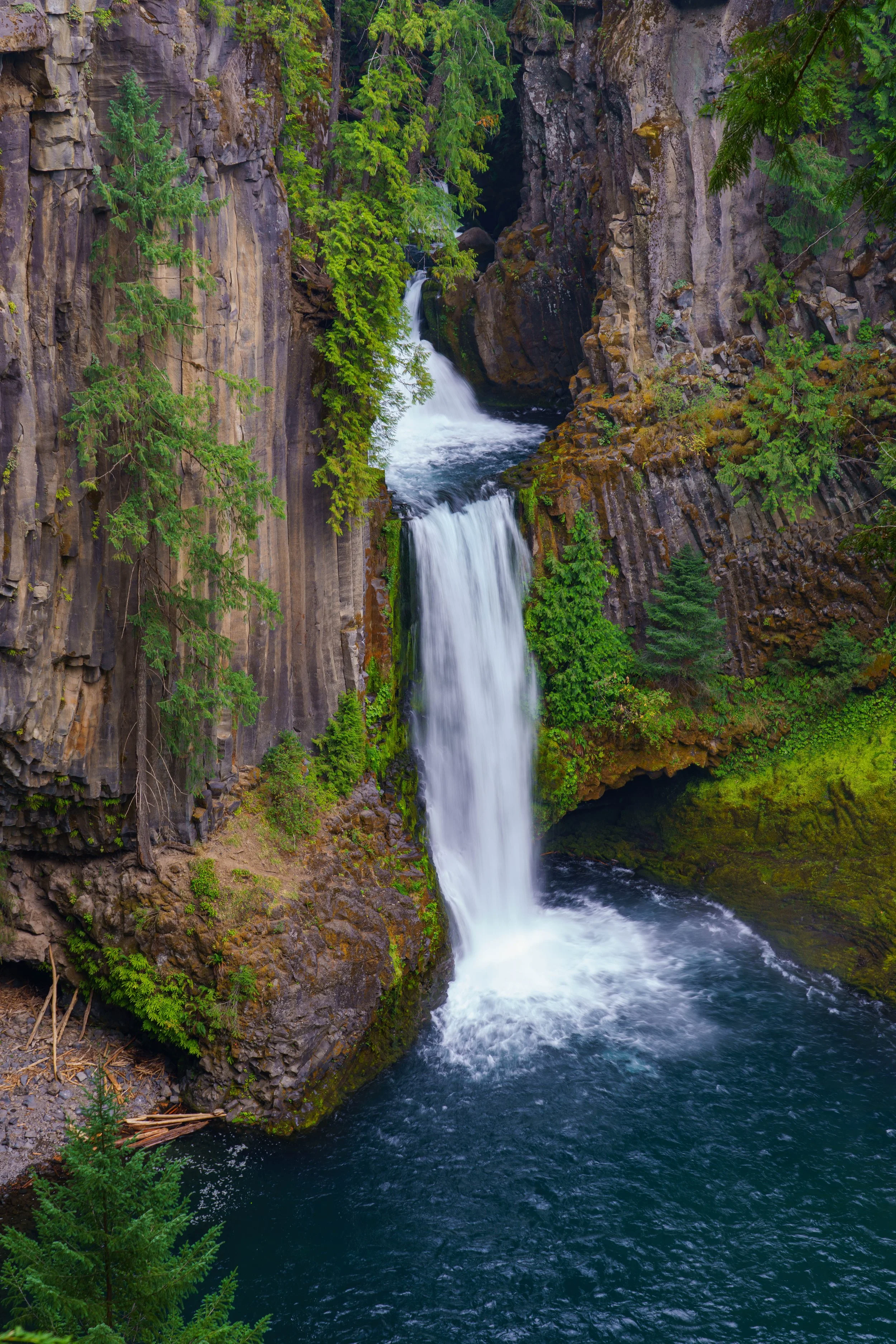 Toketee Falls.JPG