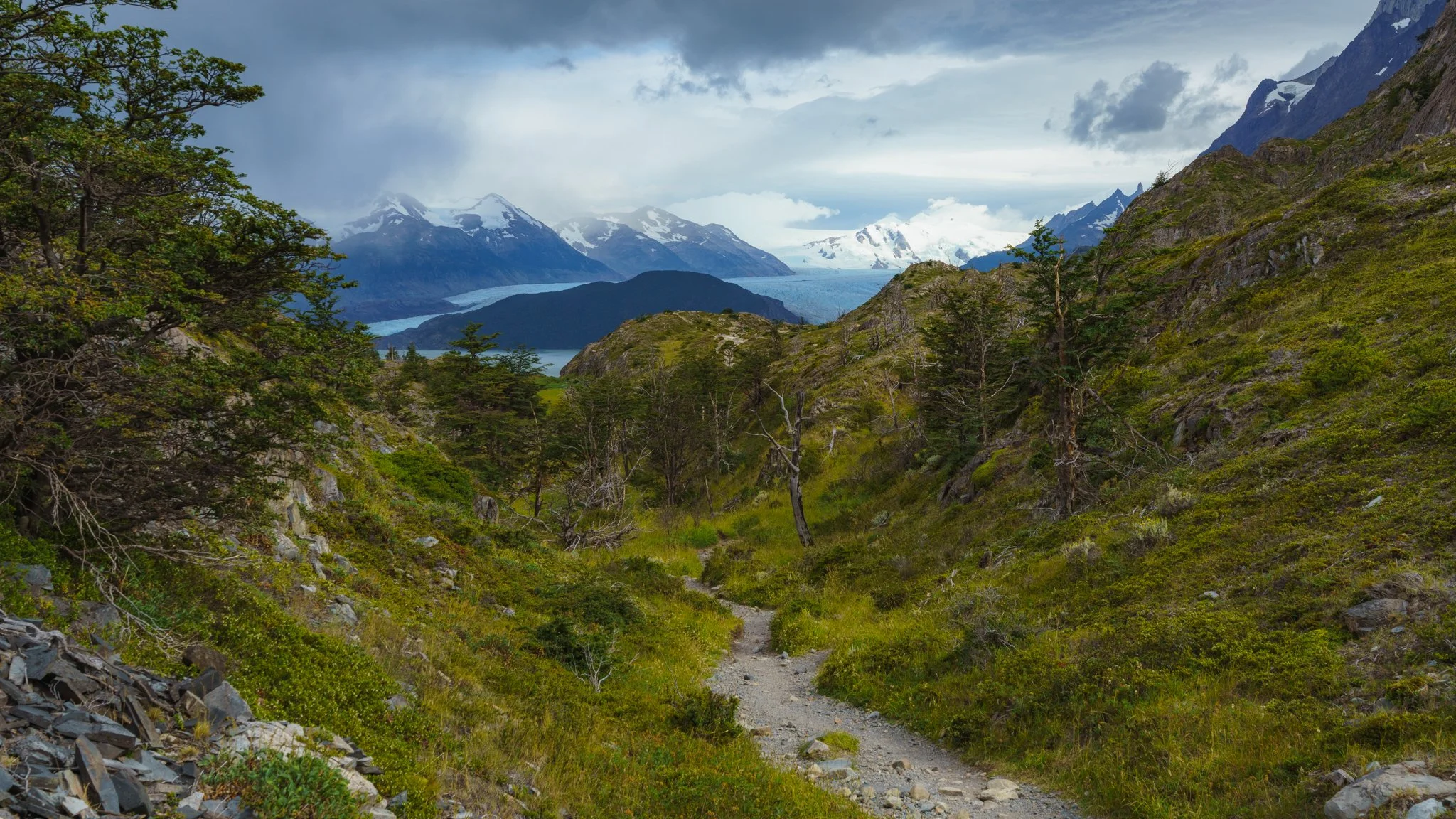 Grey Glacier, W trek