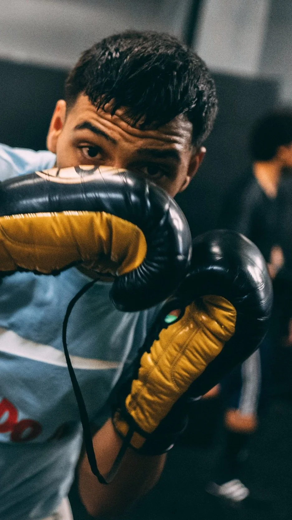 A young man wearing boxing gloves in a fighting stance, looking into the camera in a gym or boxing ring.