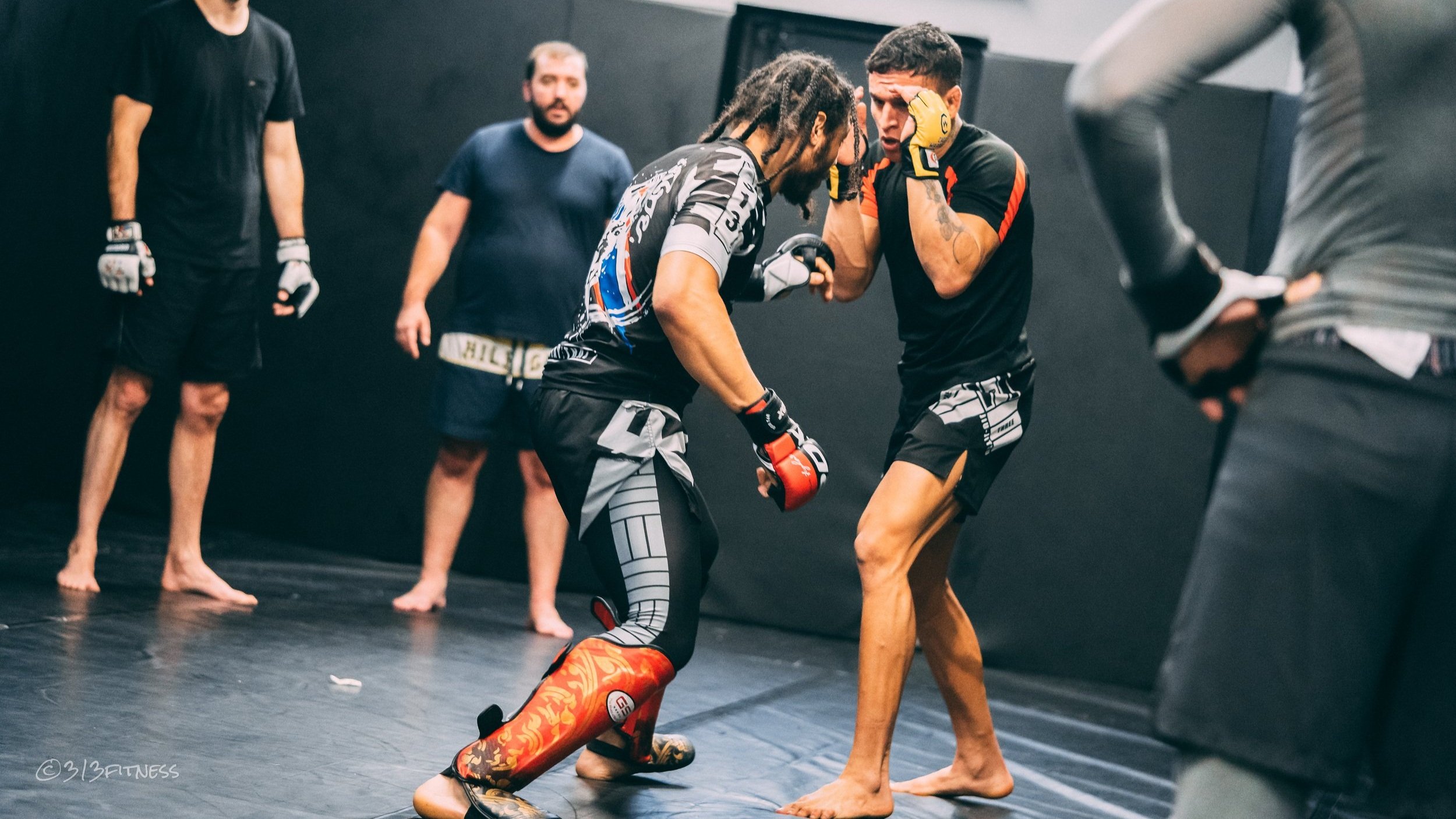 Mixed Martial Arts MMA training at 313 Fitness Manor Park