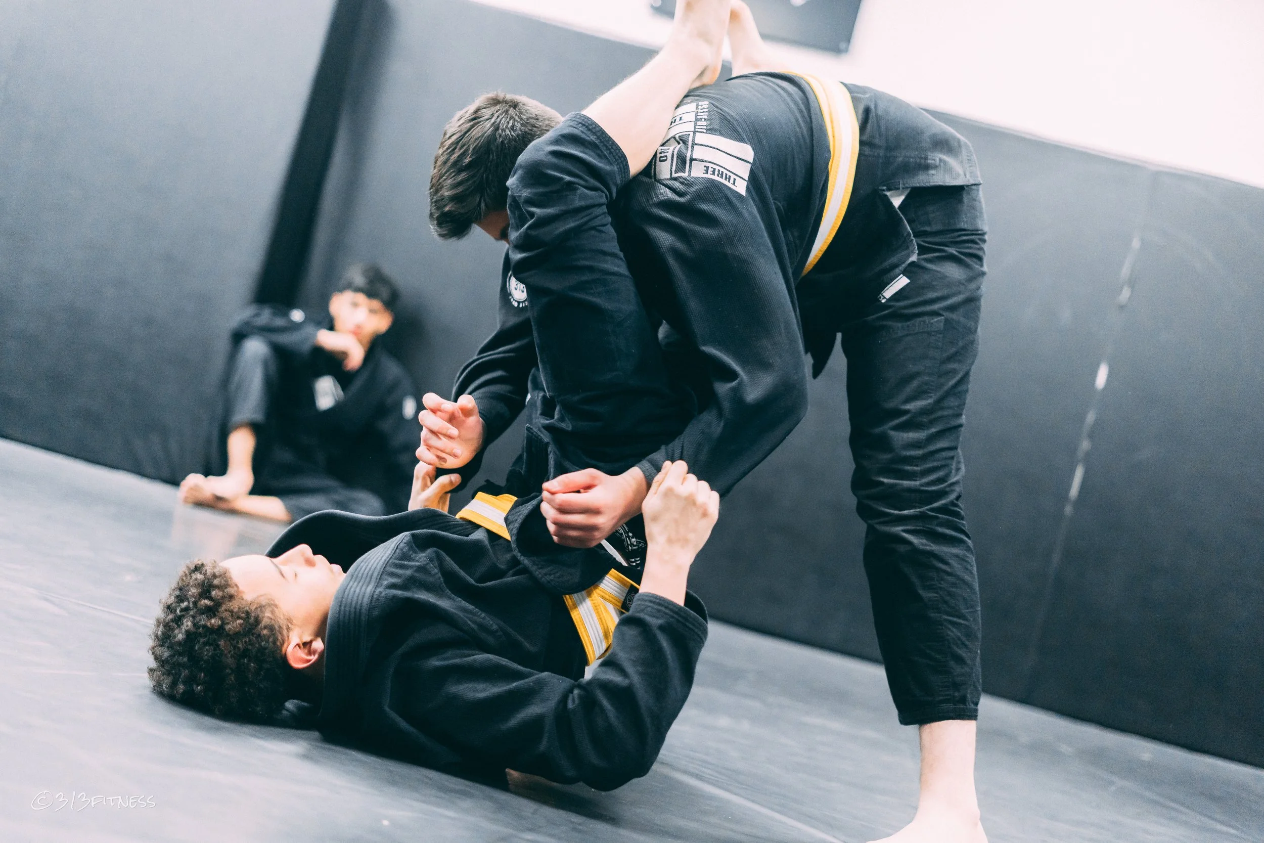 04-01 Kids Brazilian Jui Jitsu Image.jpg