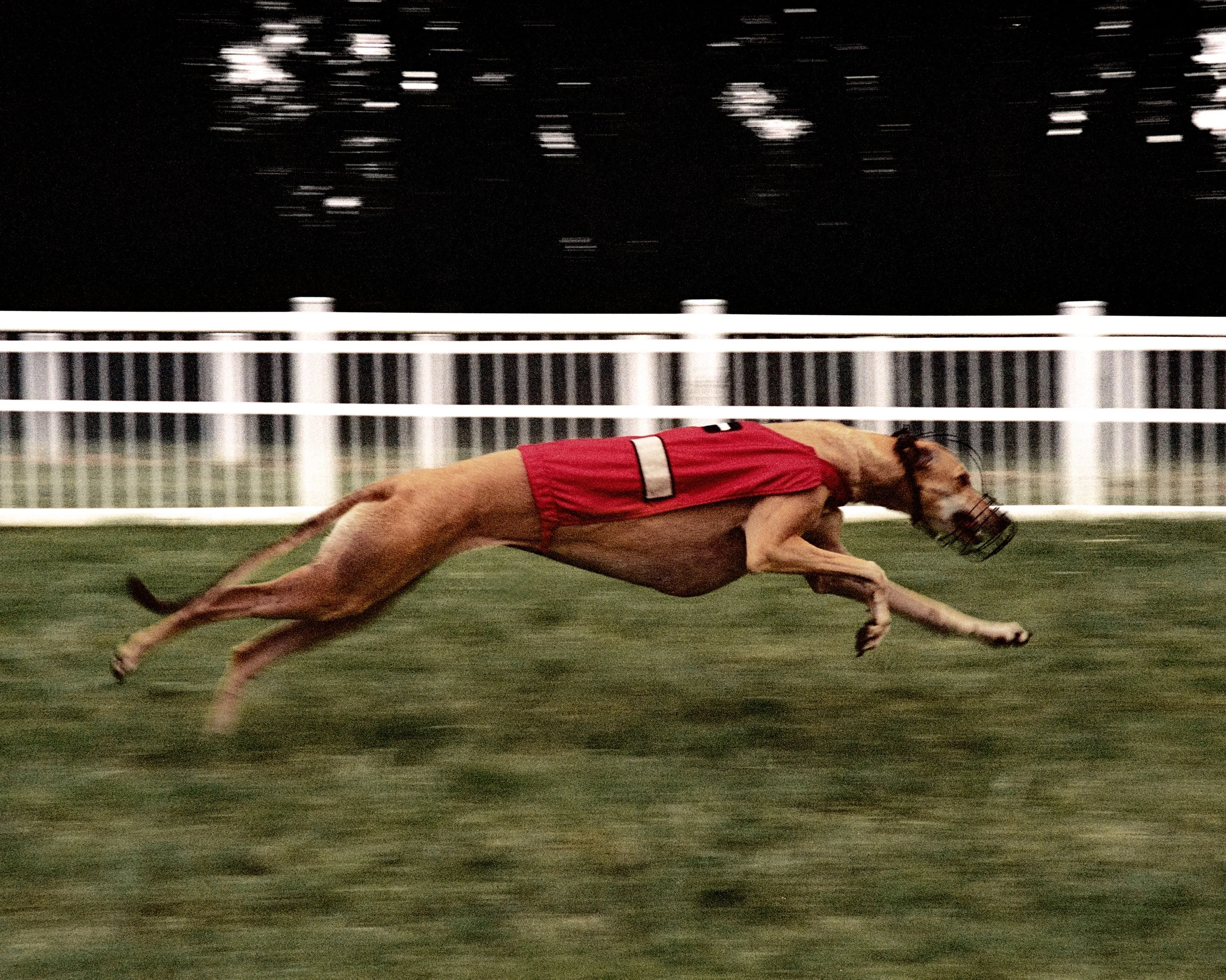 Scan nega 202539931_R3-10.JPG