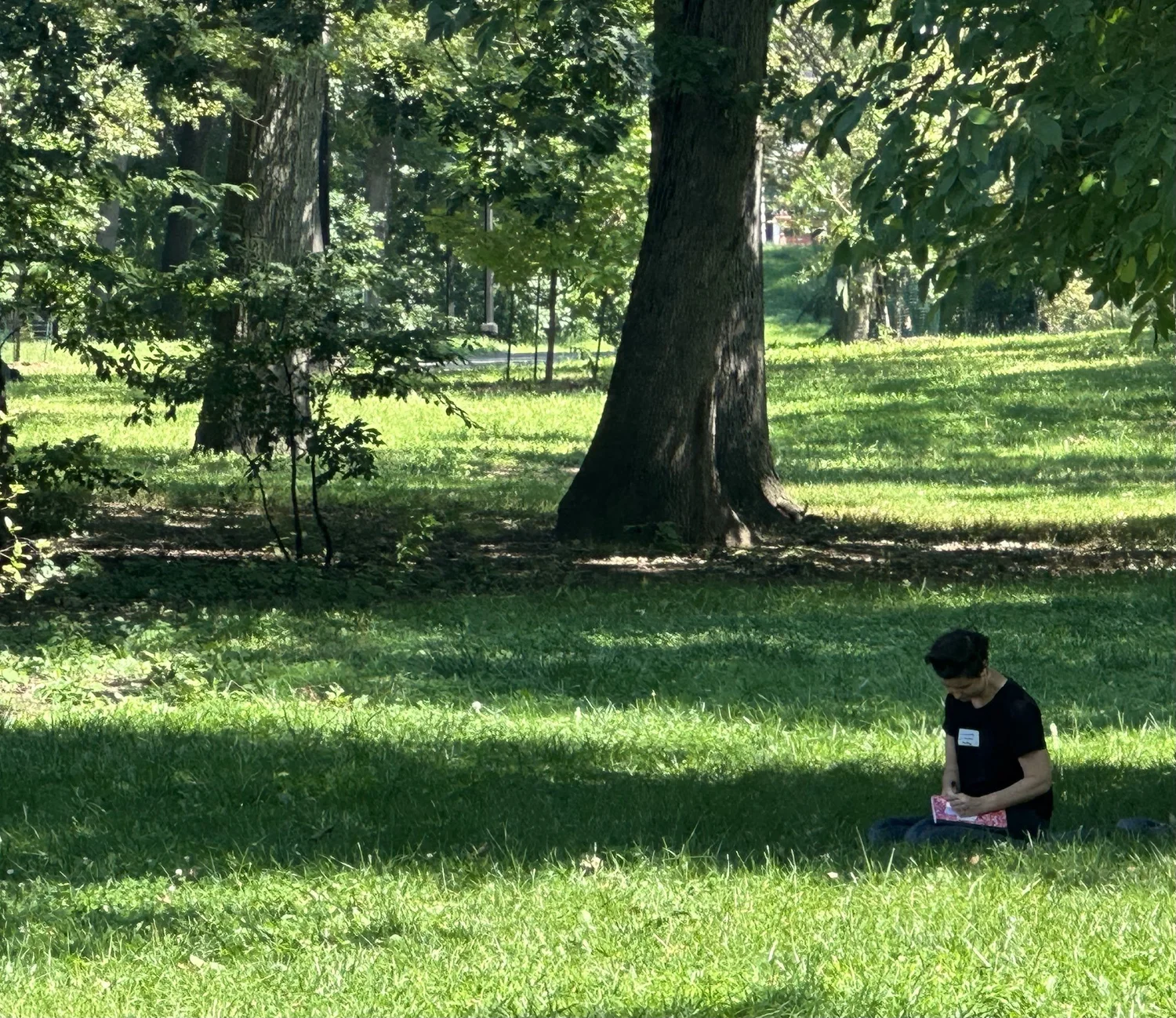 Contemplative activity