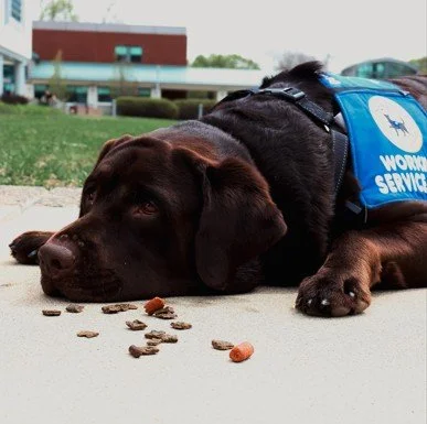 Screenshot 2025-07-26 010020.jpg