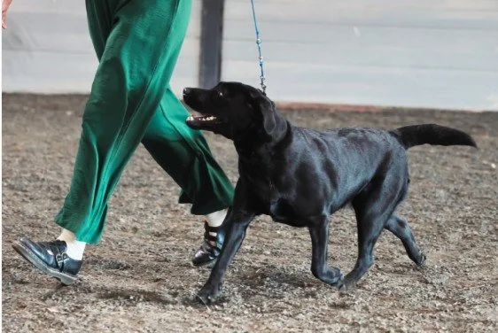 Screenshot 2025-07-26 004526.jpg