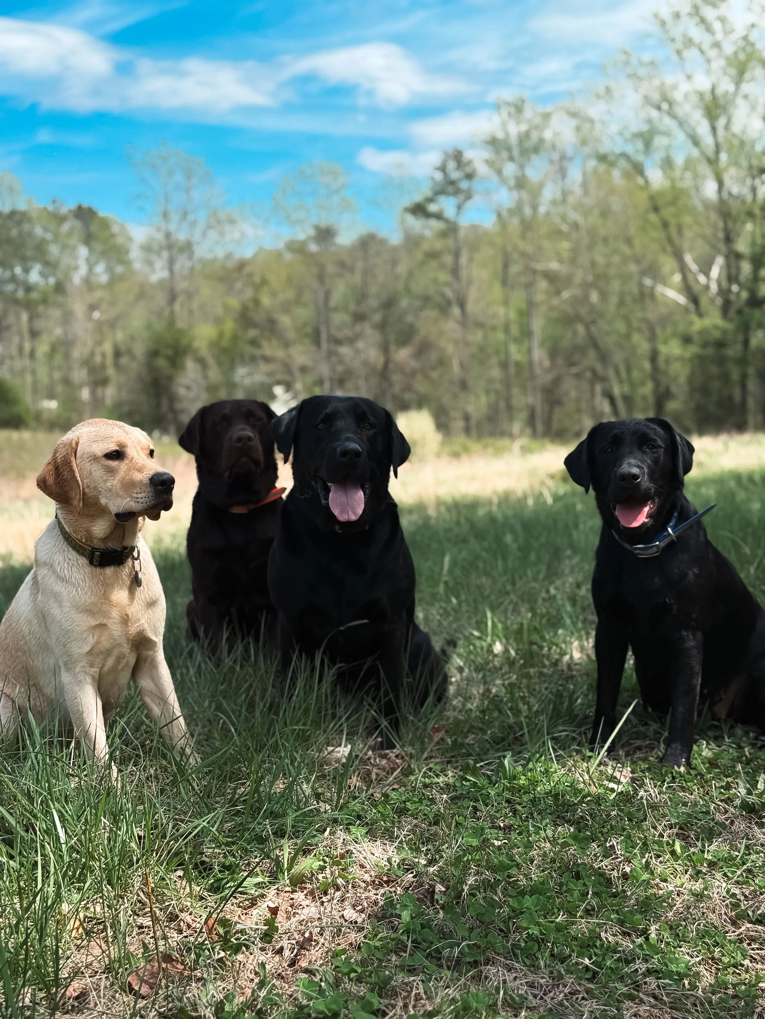 Group Evaluation at Bass Pro Shop in Ashland, VA | May 17