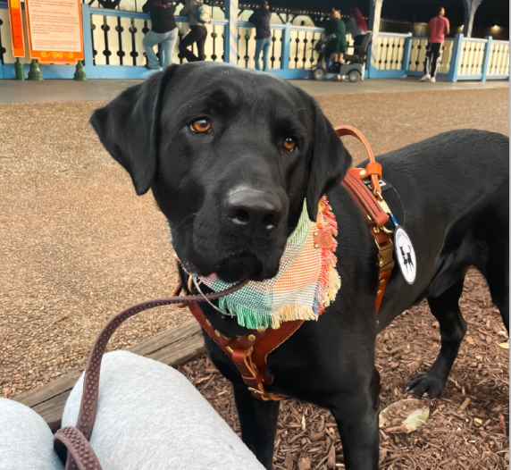 Screenshot 2024-08-16 212624.png