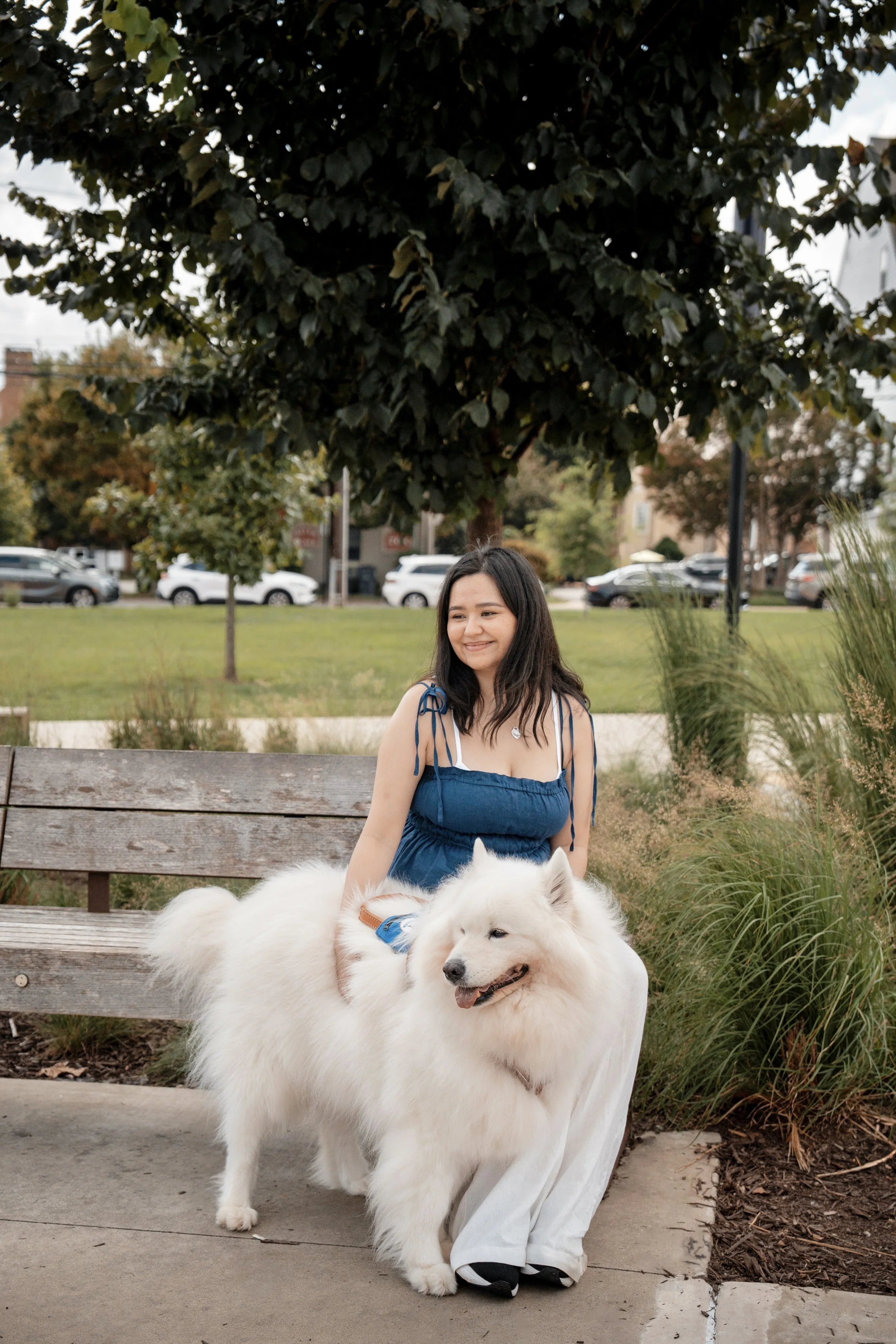 A woman sitting on a park bench with her large white fluffy dog, a Samoyed, in front of her. The woman is smiling and wearing a blue dress with tied shoulder straps. The scene is outdoors with trees, grass, and parked cars in the background.