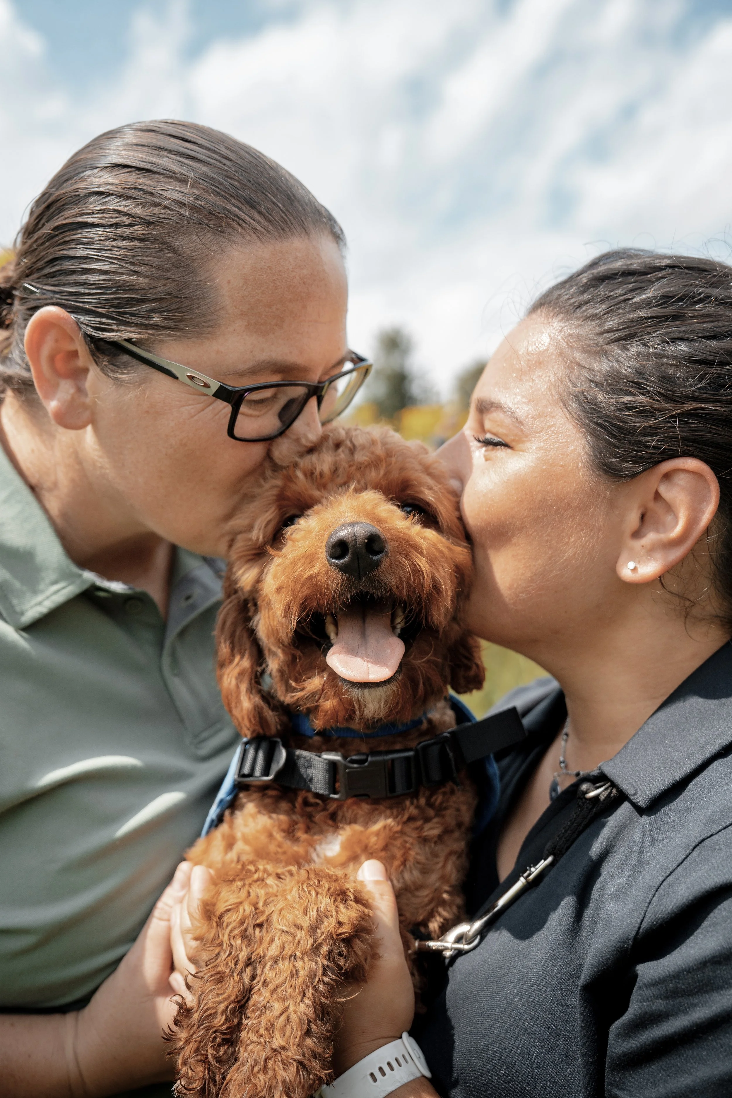 Two women and a golden-brown puppy with curly fur, all touching noses in an outdoor setting. The women are smiling, and the puppy is smiling with its tongue out. The woman on the left wears glasses and a green shirt, and the woman on the right wears earrings and a dark gray shirt. The background shows a cloudy sky.