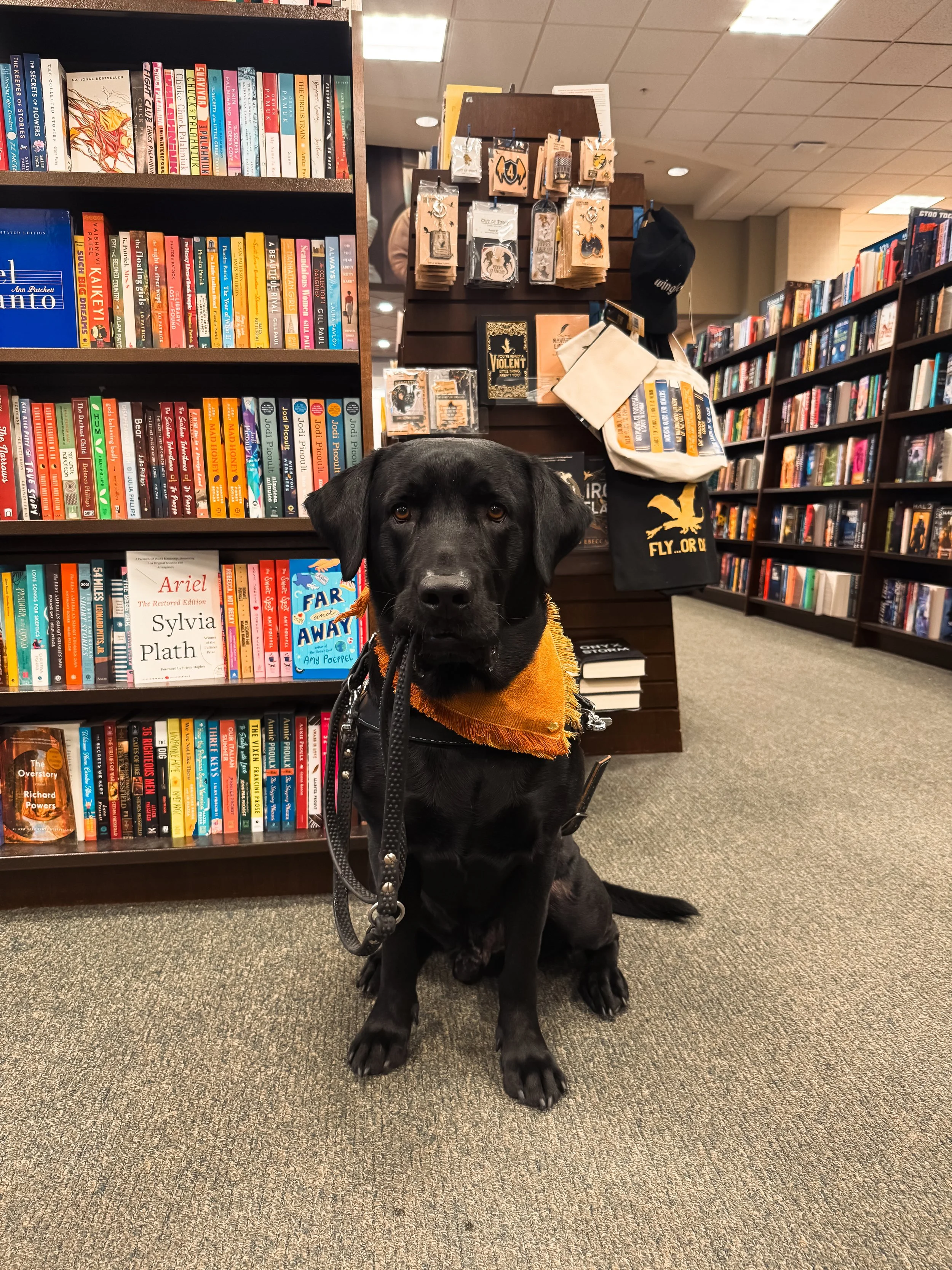 15A2155B-E050-45C8-8E66-BDCBCD13EB13 (1).JPEG