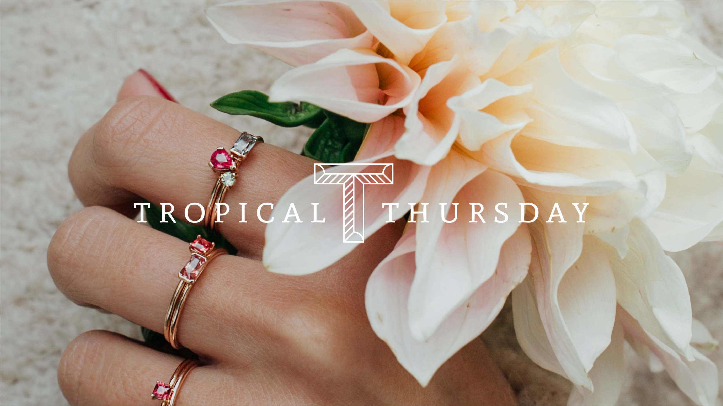 Tropical_Thursday_book_TT_mockup-5.png