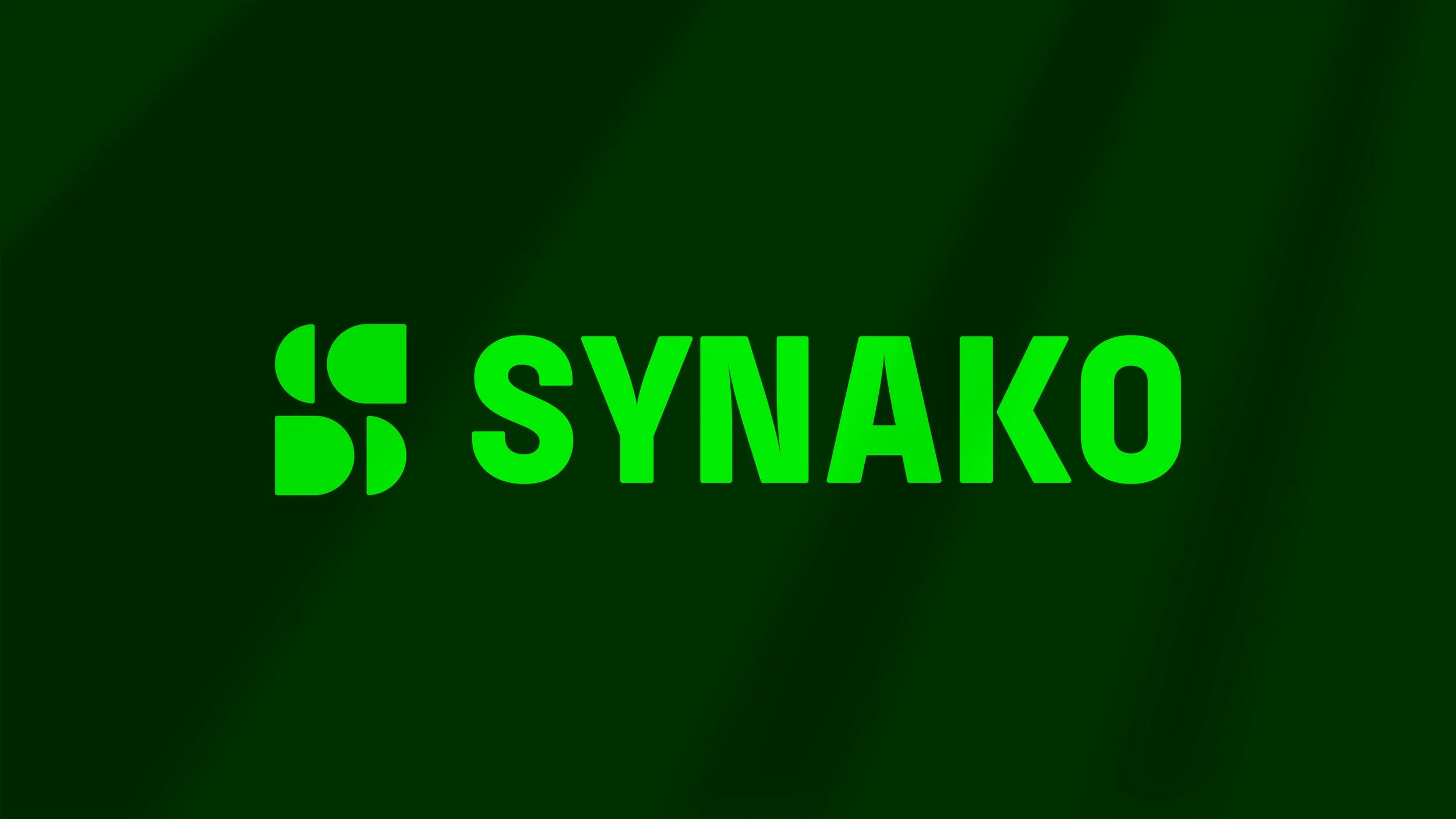 StudioBento-SYNNAKO-branding-site_case-study 2.jpg
