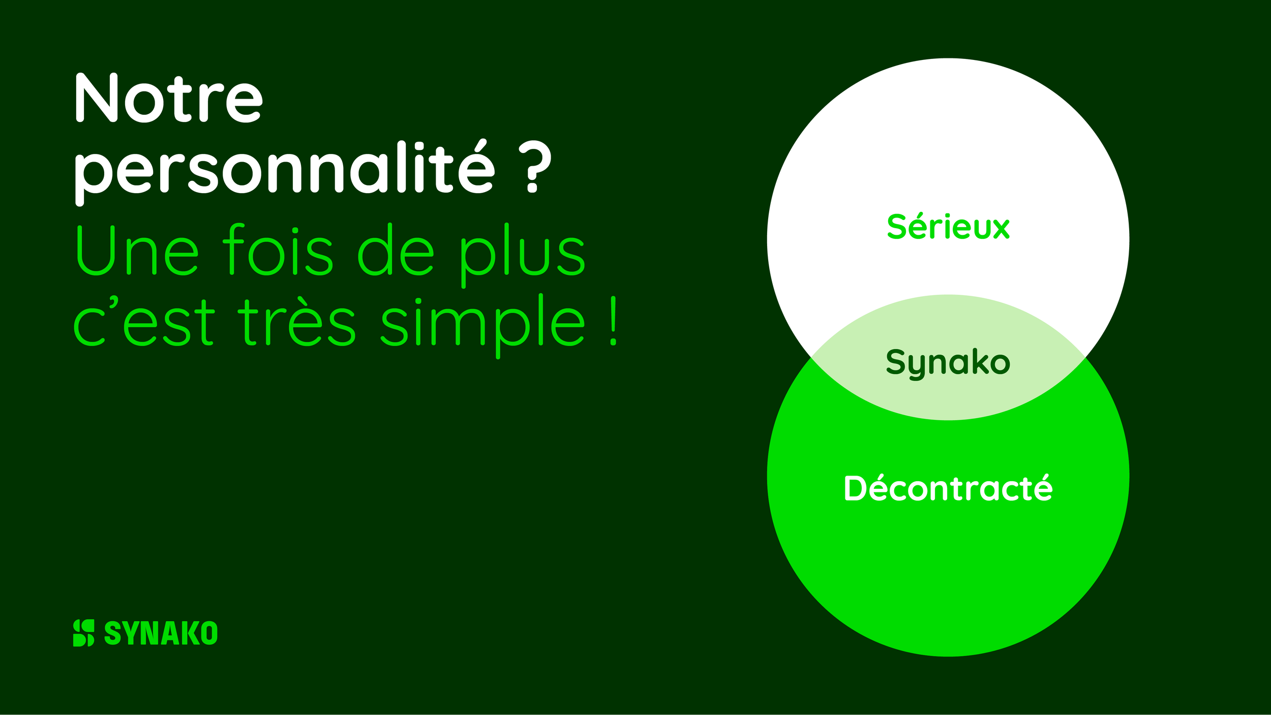 SYNAKO_piste-4_pour slides_Plan-9.png