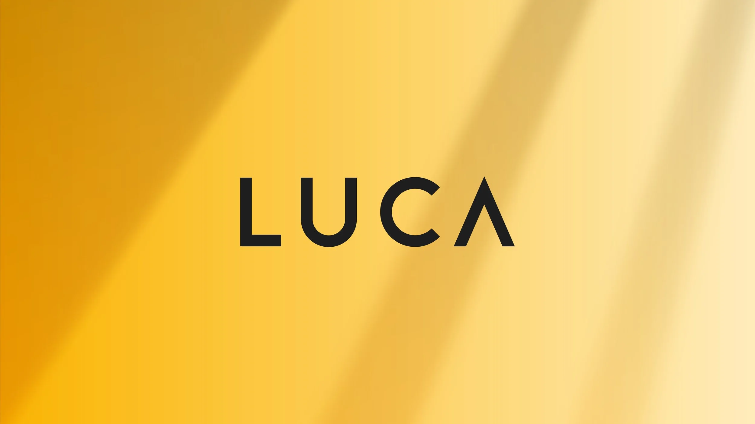 LUCA-branding-4_Plan-3.jpg