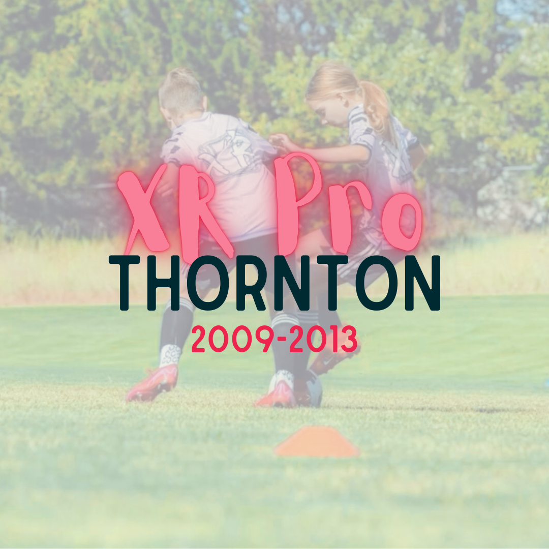 summer 26 products-2.png