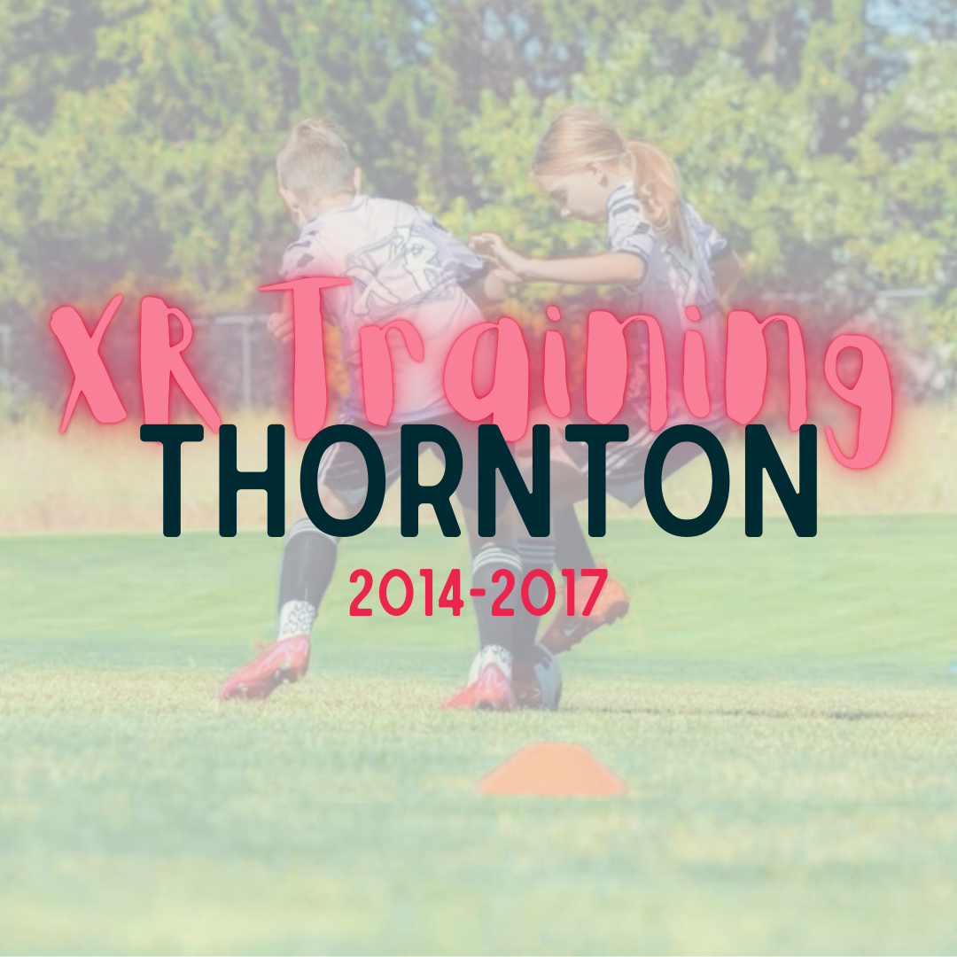 summer 26 products.png