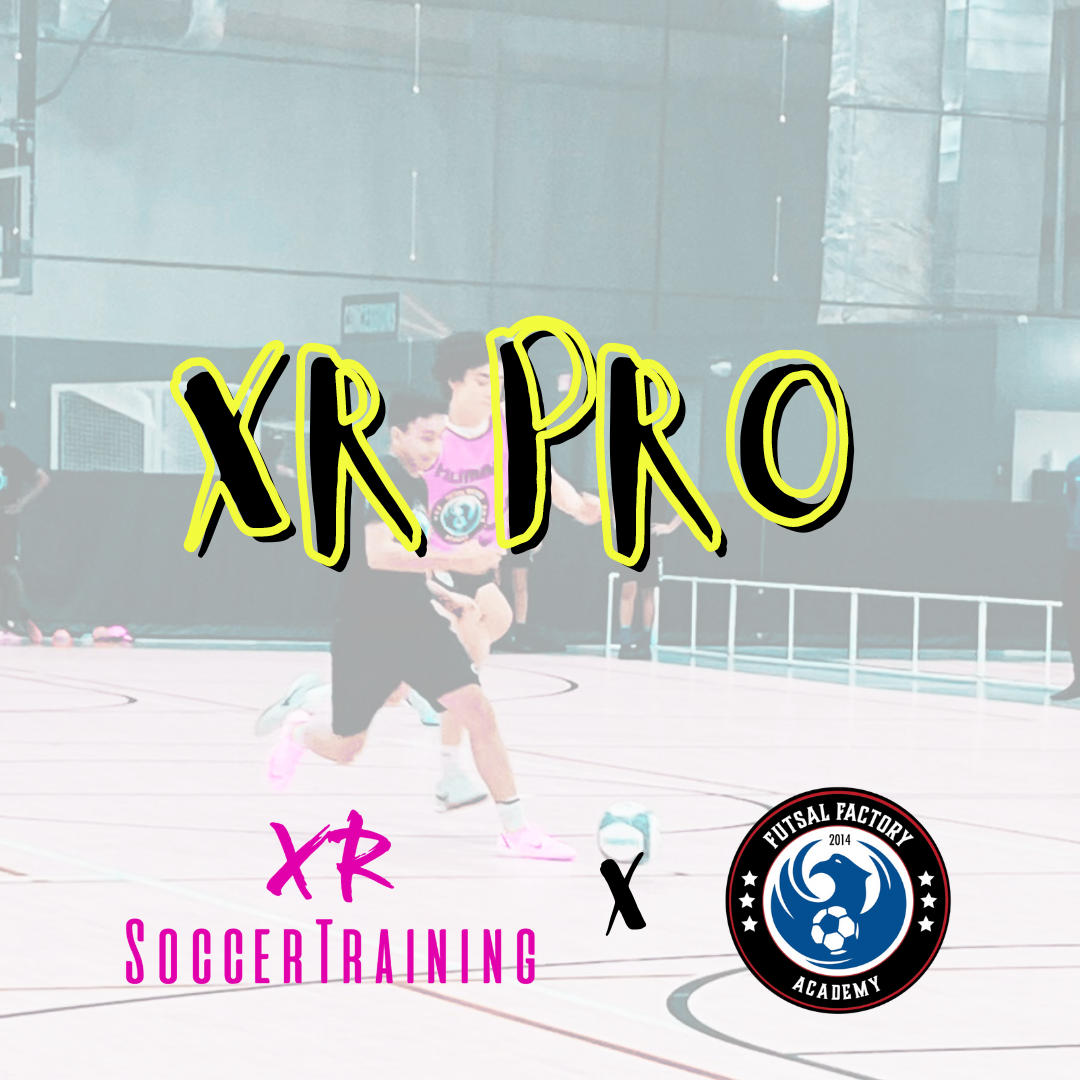 XR Pro.png